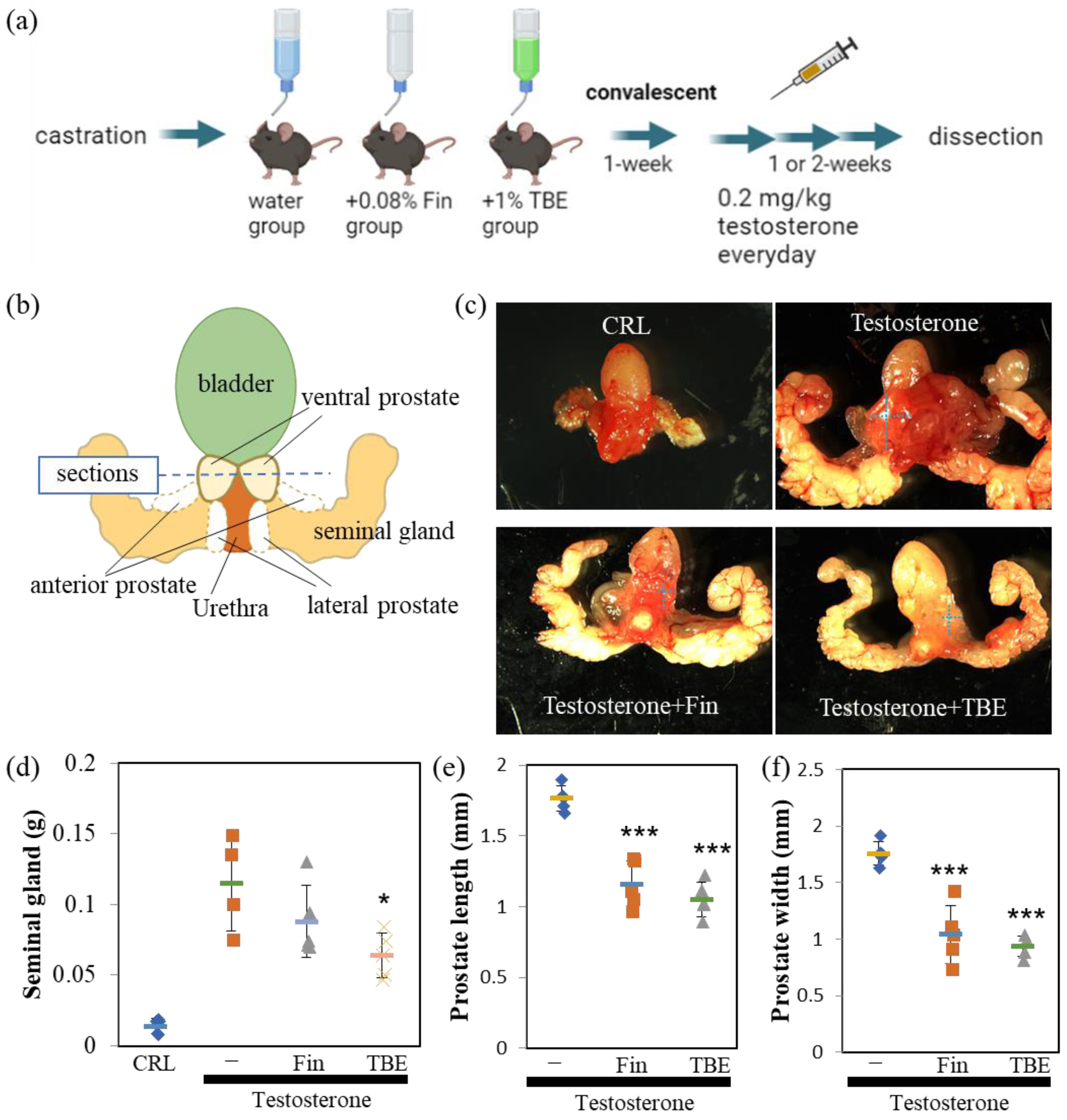 Ijms 24 11765 g003 Ijms 24 11765 g003