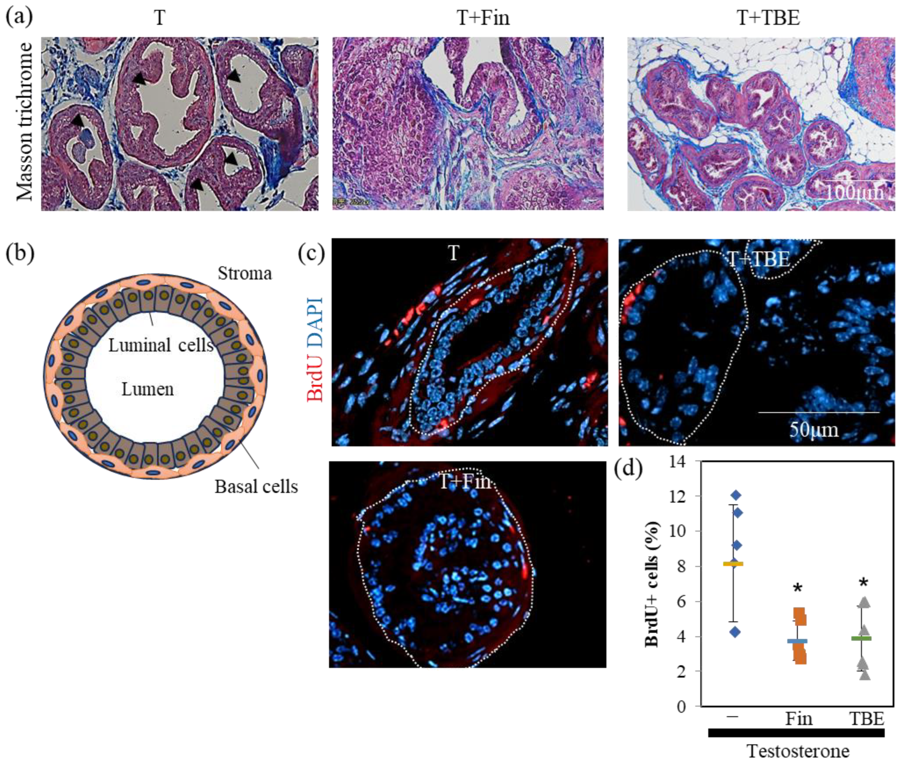 Ijms 24 11765 g004 Ijms 24 11765 g004