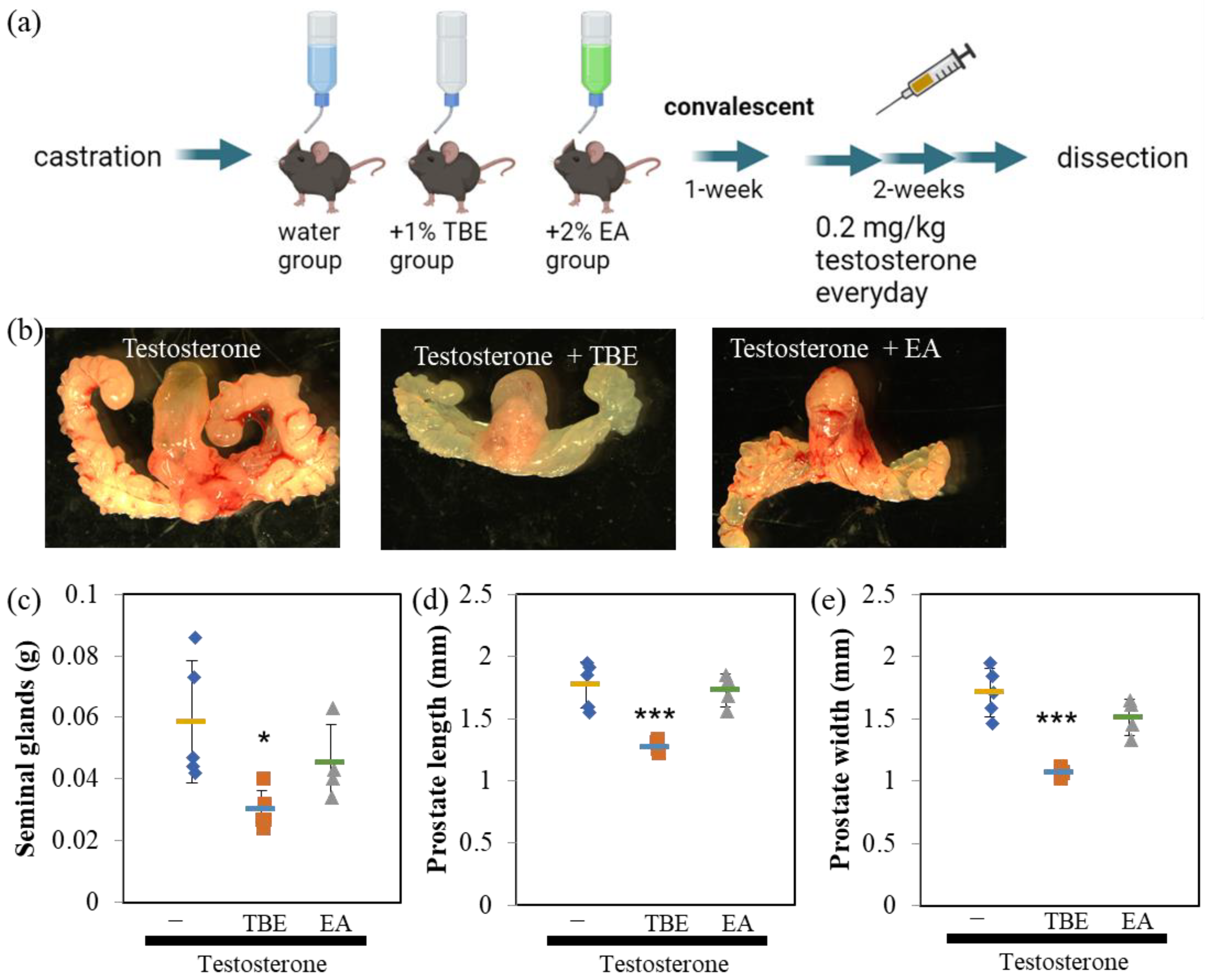 Ijms 24 11765 g007 Ijms 24 11765 g007