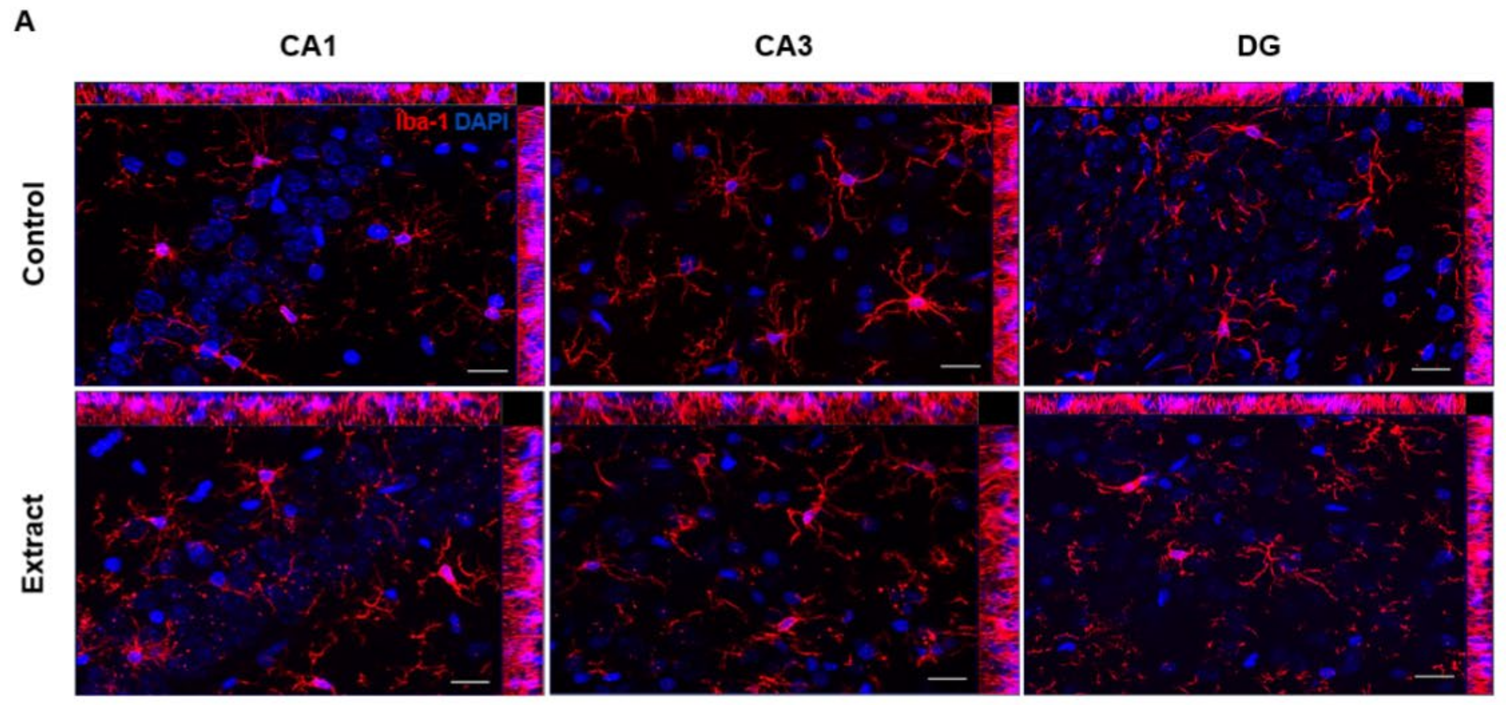 Ijms 24 11775 g005a Ijms 24 11775 g005a