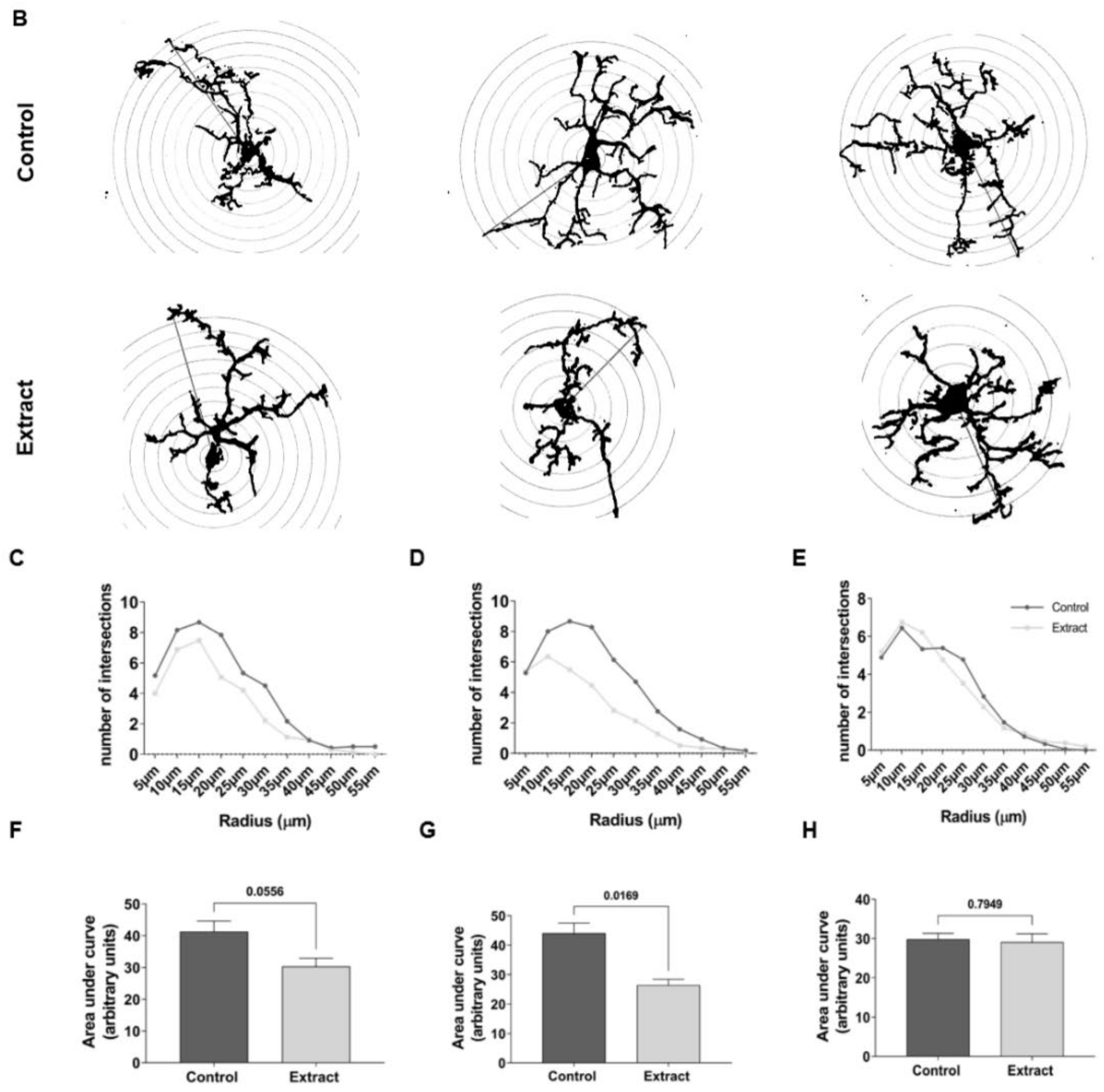 Ijms 24 11775 g005b Ijms 24 11775 g005b