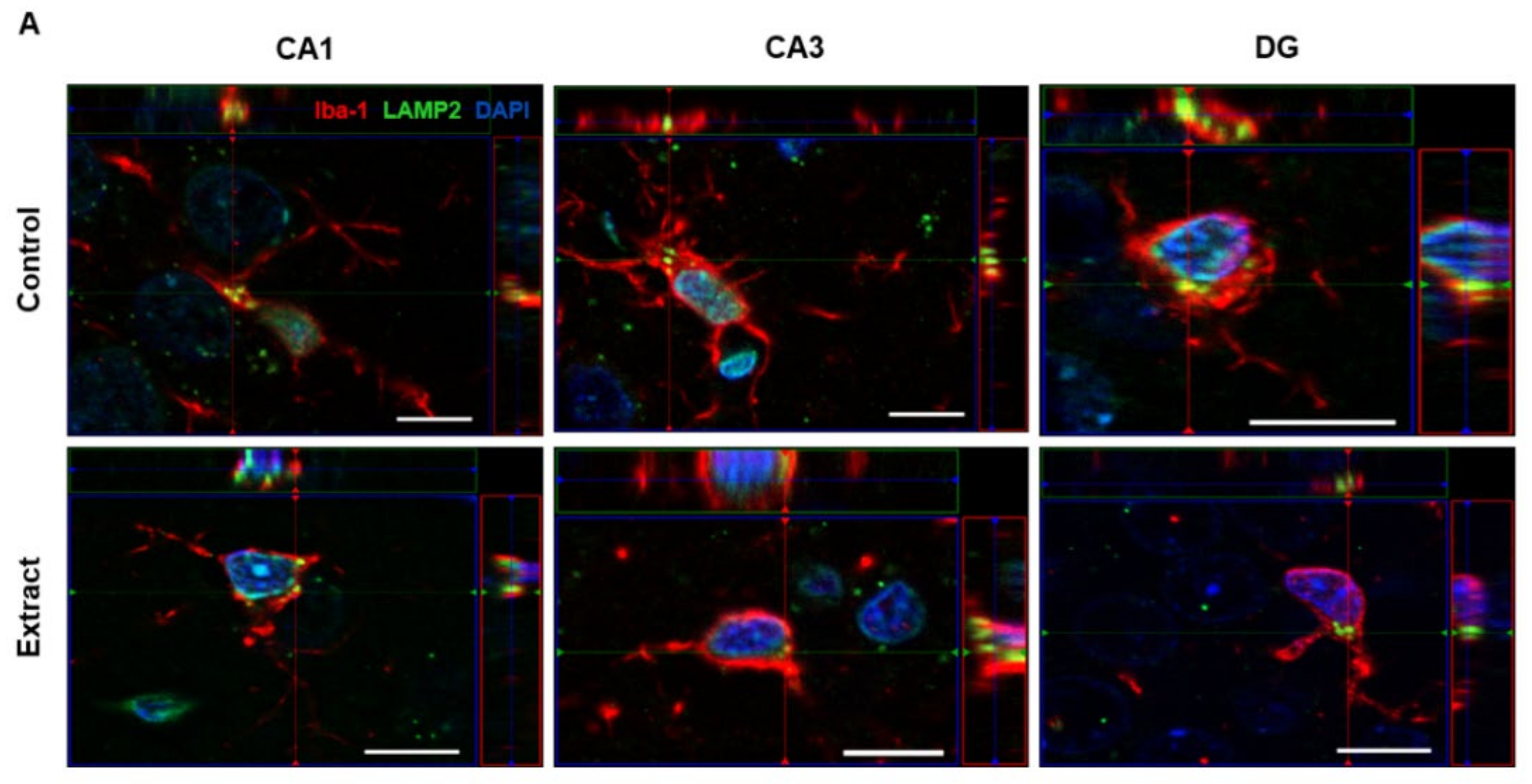 Ijms 24 11775 g006a Ijms 24 11775 g006a