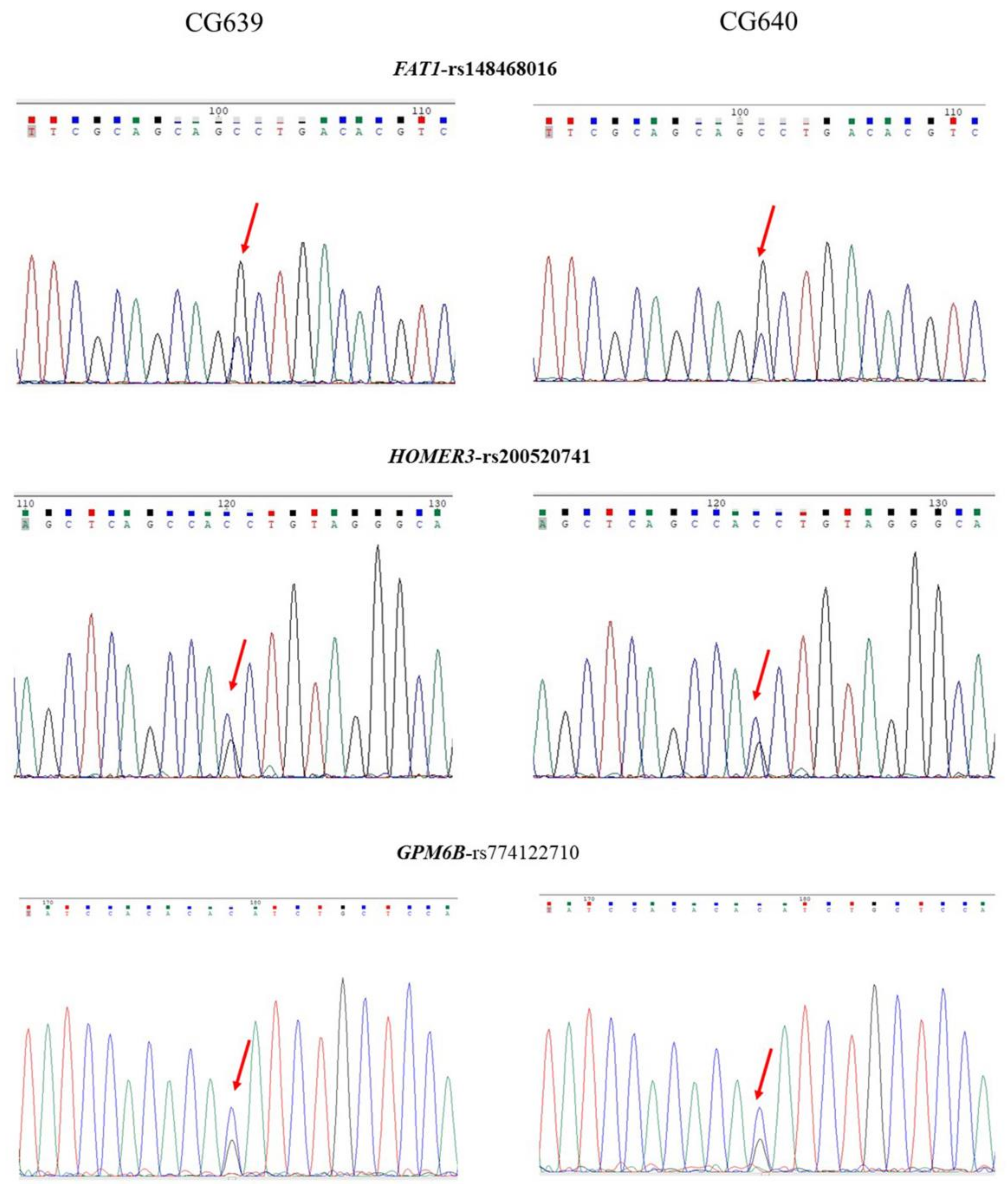 Ijms 24 11777 g004 Ijms 24 11777 g004