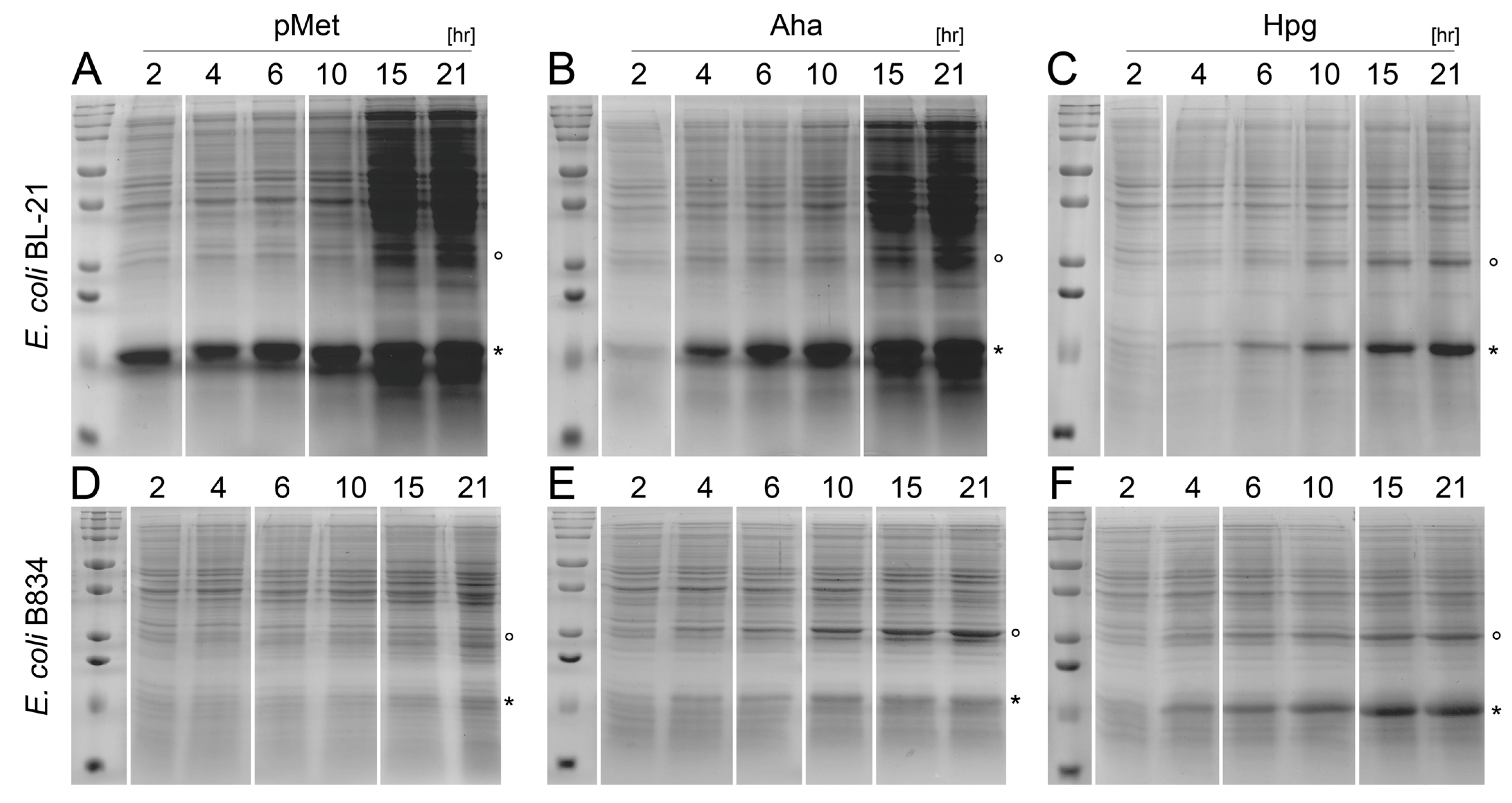 Ijms 24 11779 g003 Ijms 24 11779 g003