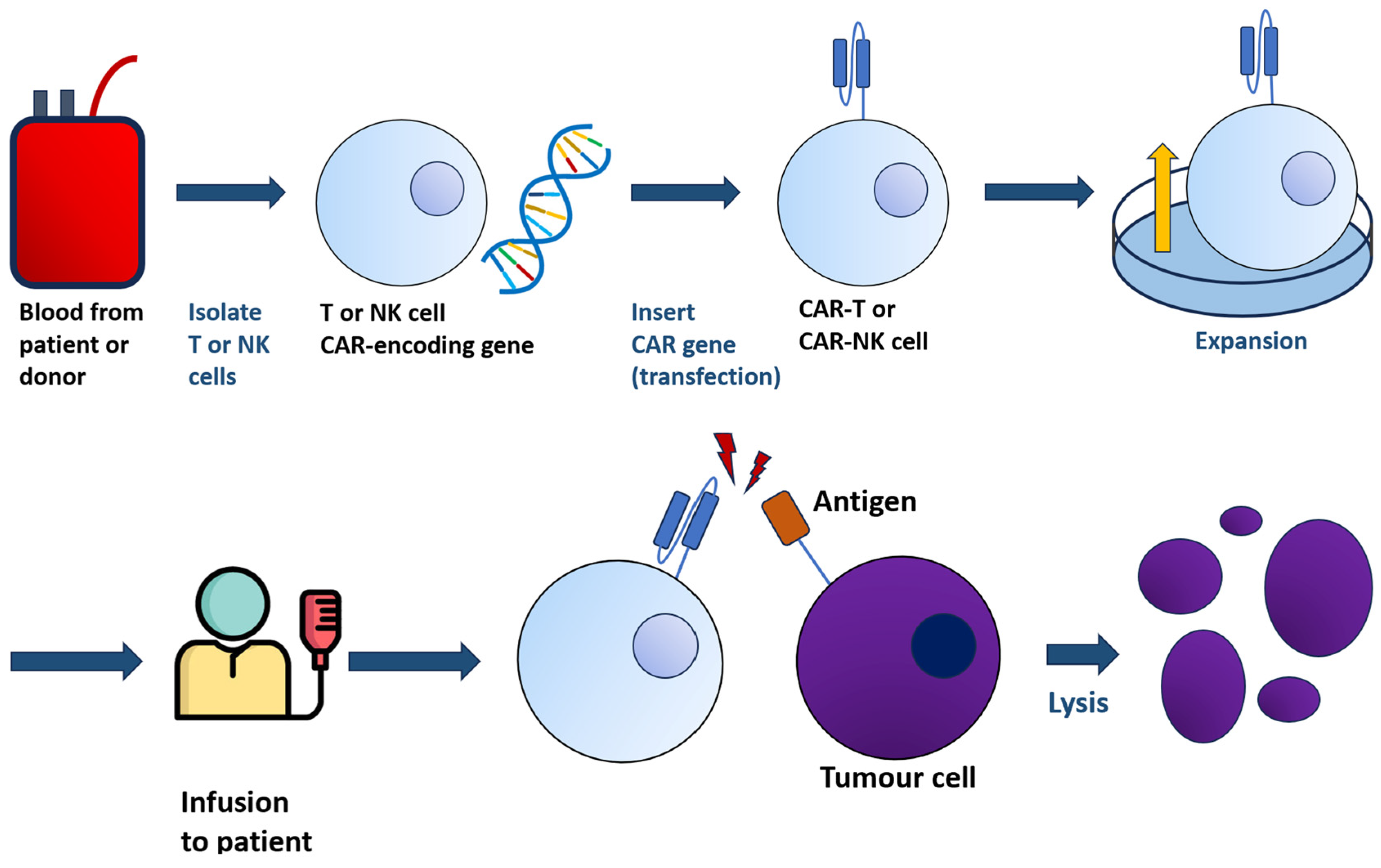 Ijms 24 11803 g001 Ijms 24 11803 g001
