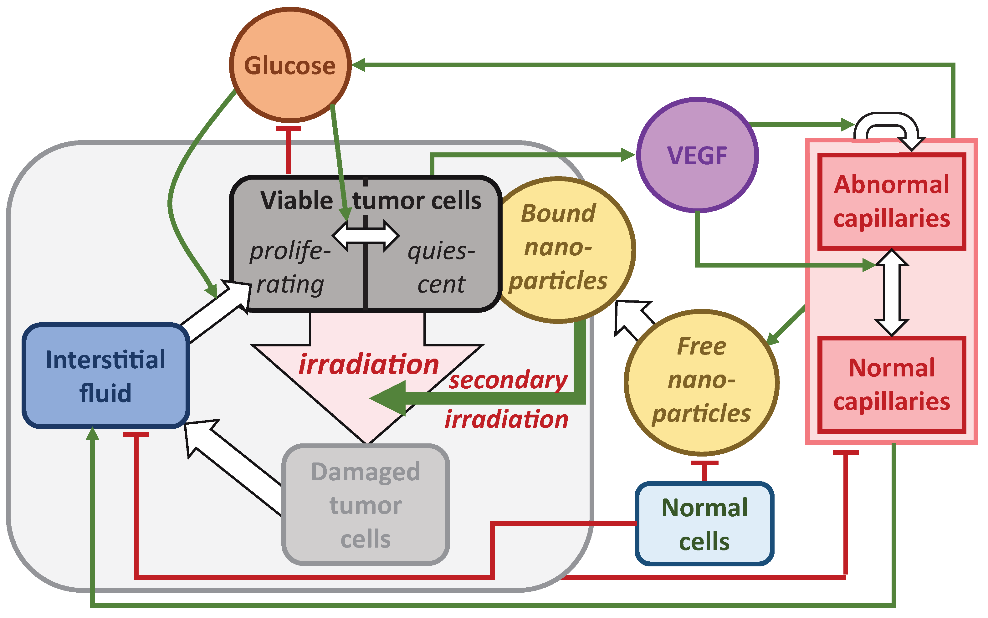 Ijms 24 11806 g001 Ijms 24 11806 g001