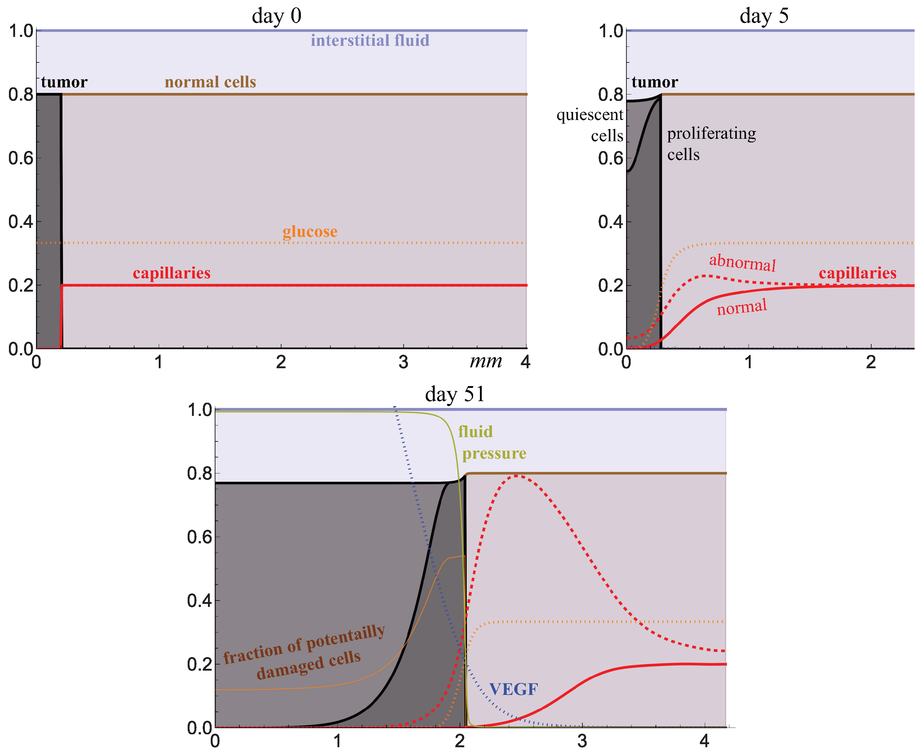 Ijms 24 11806 g004 Ijms 24 11806 g004