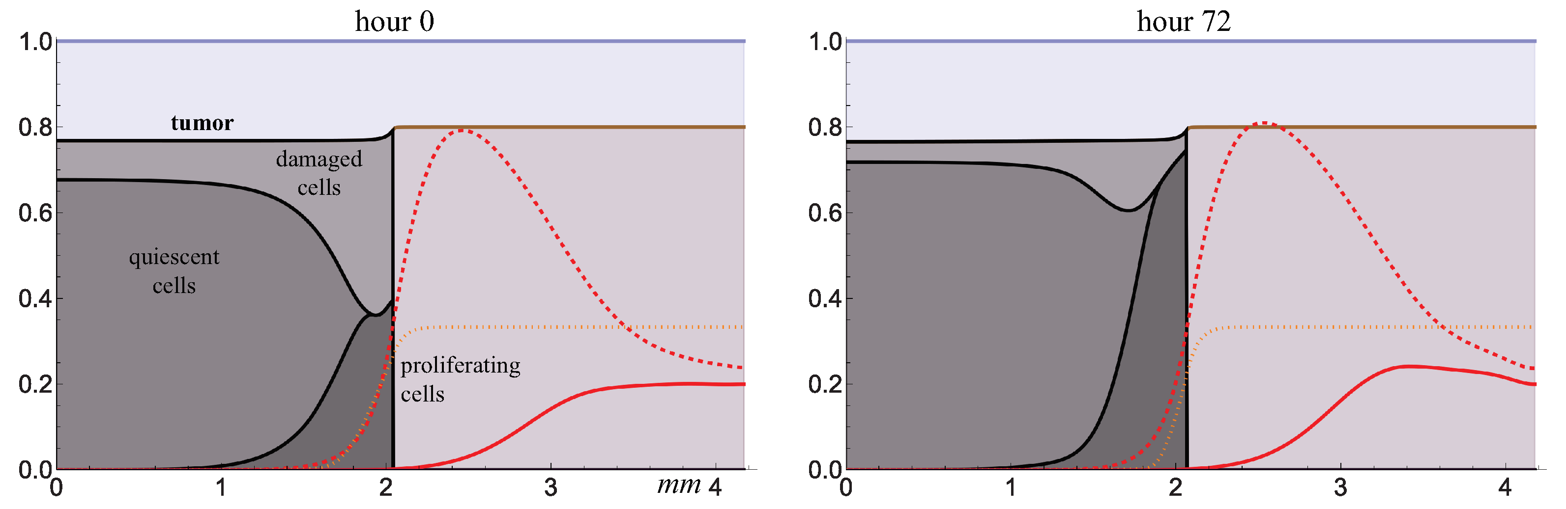 Ijms 24 11806 g005 Ijms 24 11806 g005