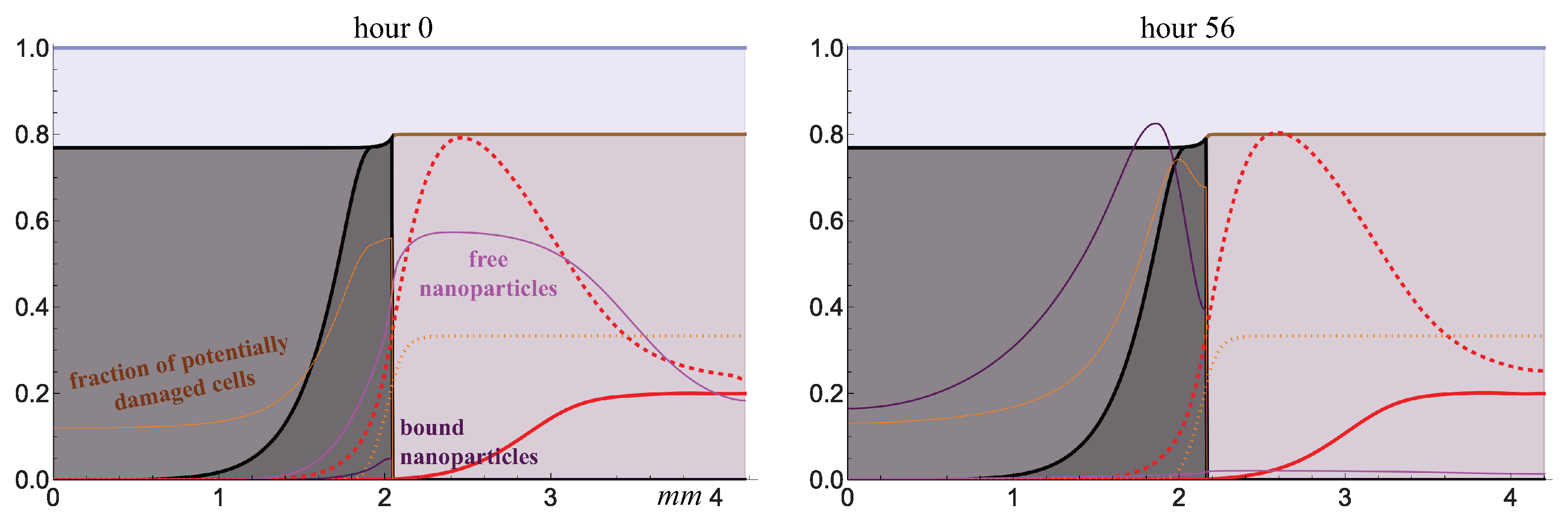 Ijms 24 11806 g006 Ijms 24 11806 g006