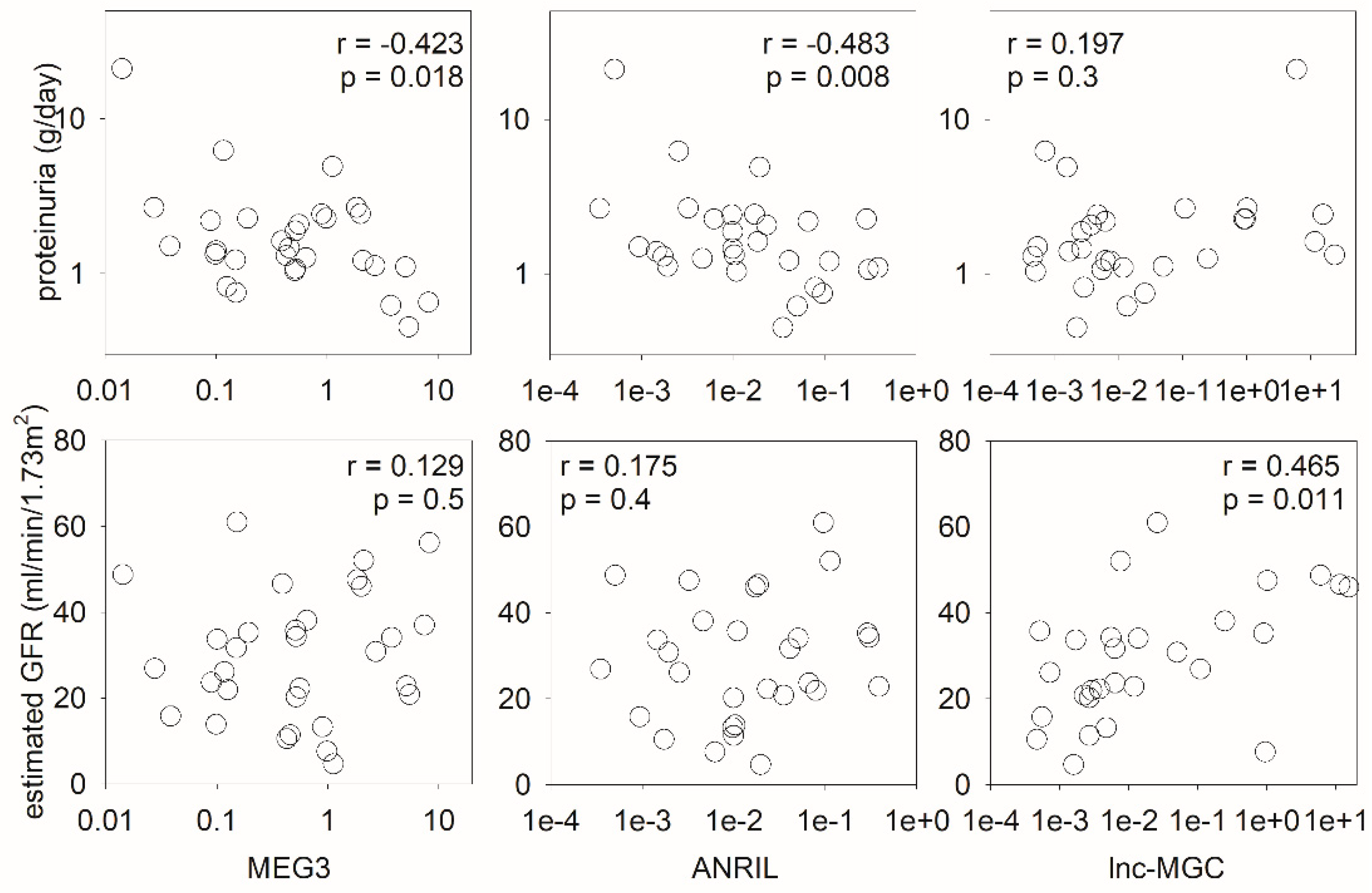 Ijms 24 11813 g002 Ijms 24 11813 g002