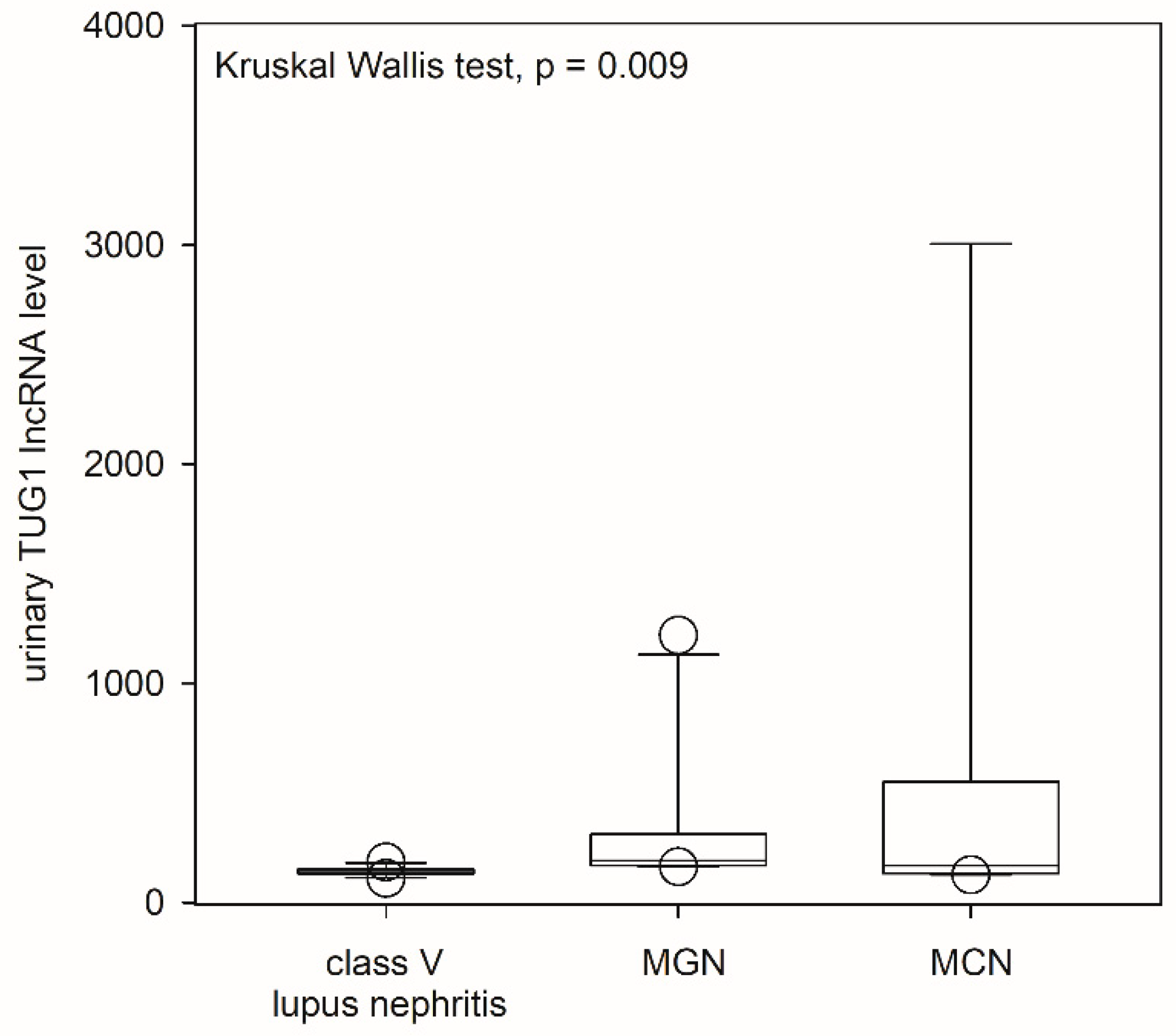 Ijms 24 11813 g004 Ijms 24 11813 g004