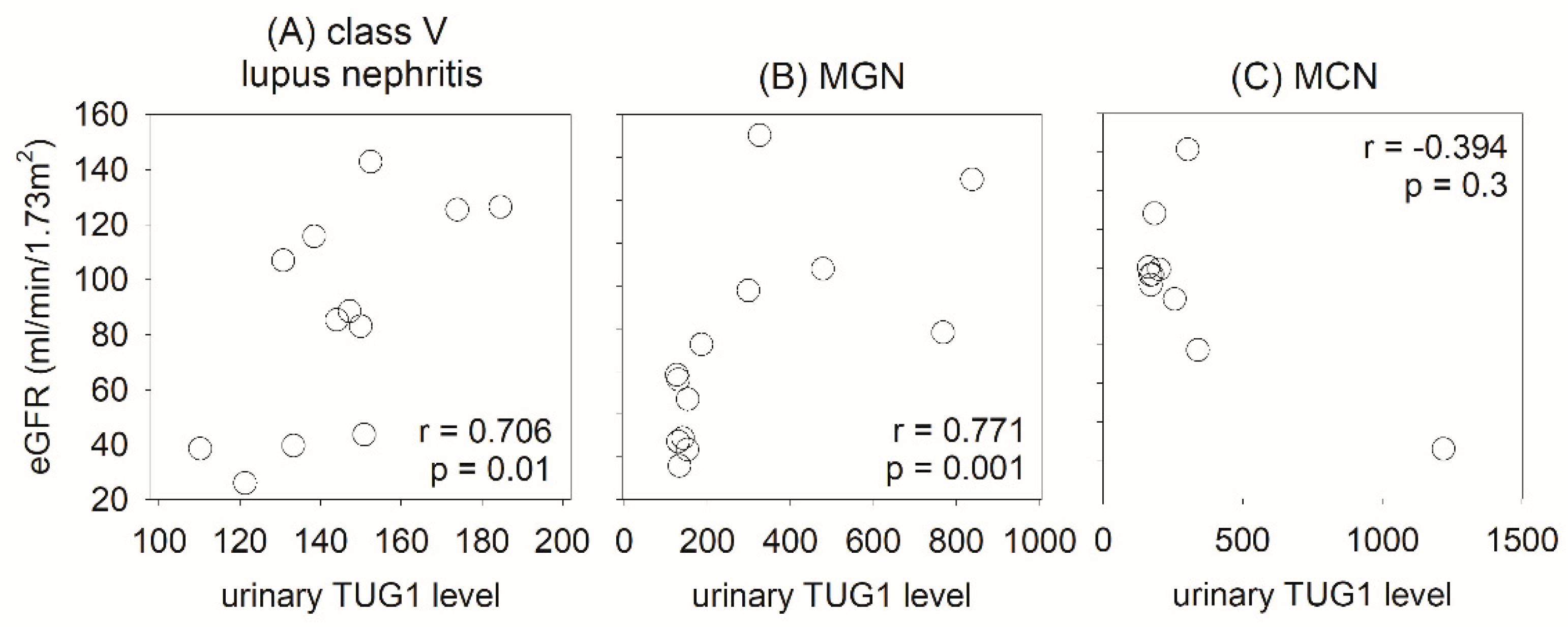 Ijms 24 11813 g005 Ijms 24 11813 g005