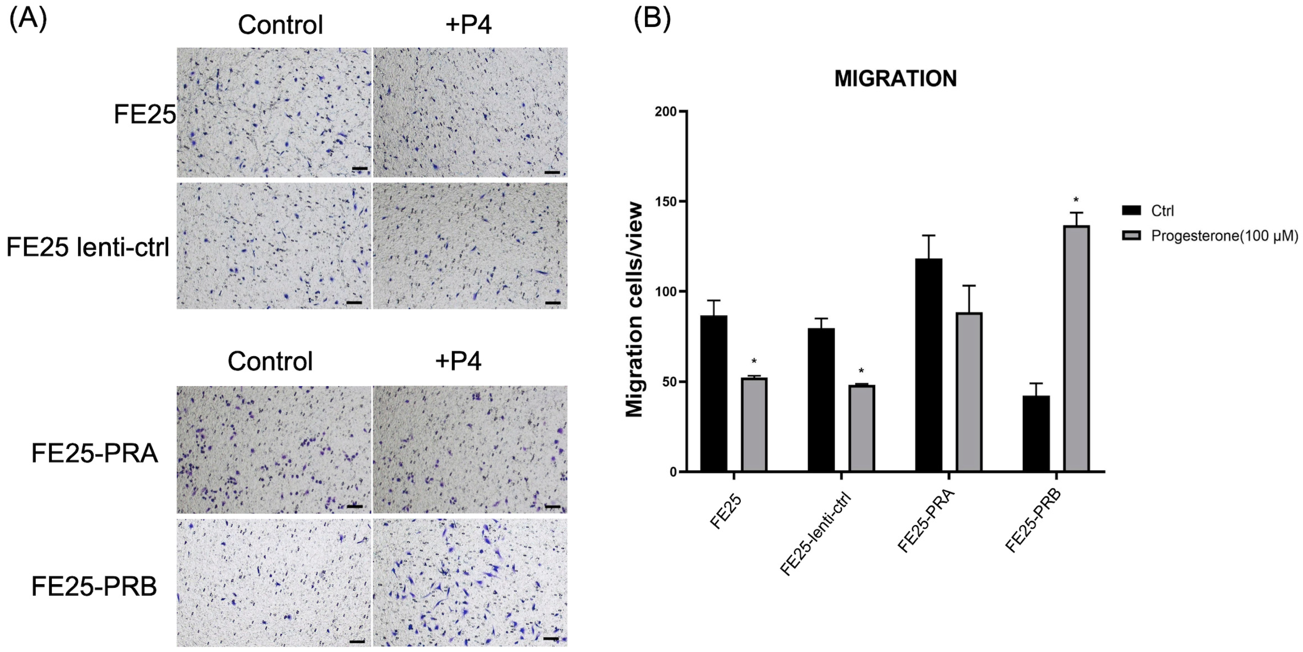 Ijms 24 11823 g003 Ijms 24 11823 g003