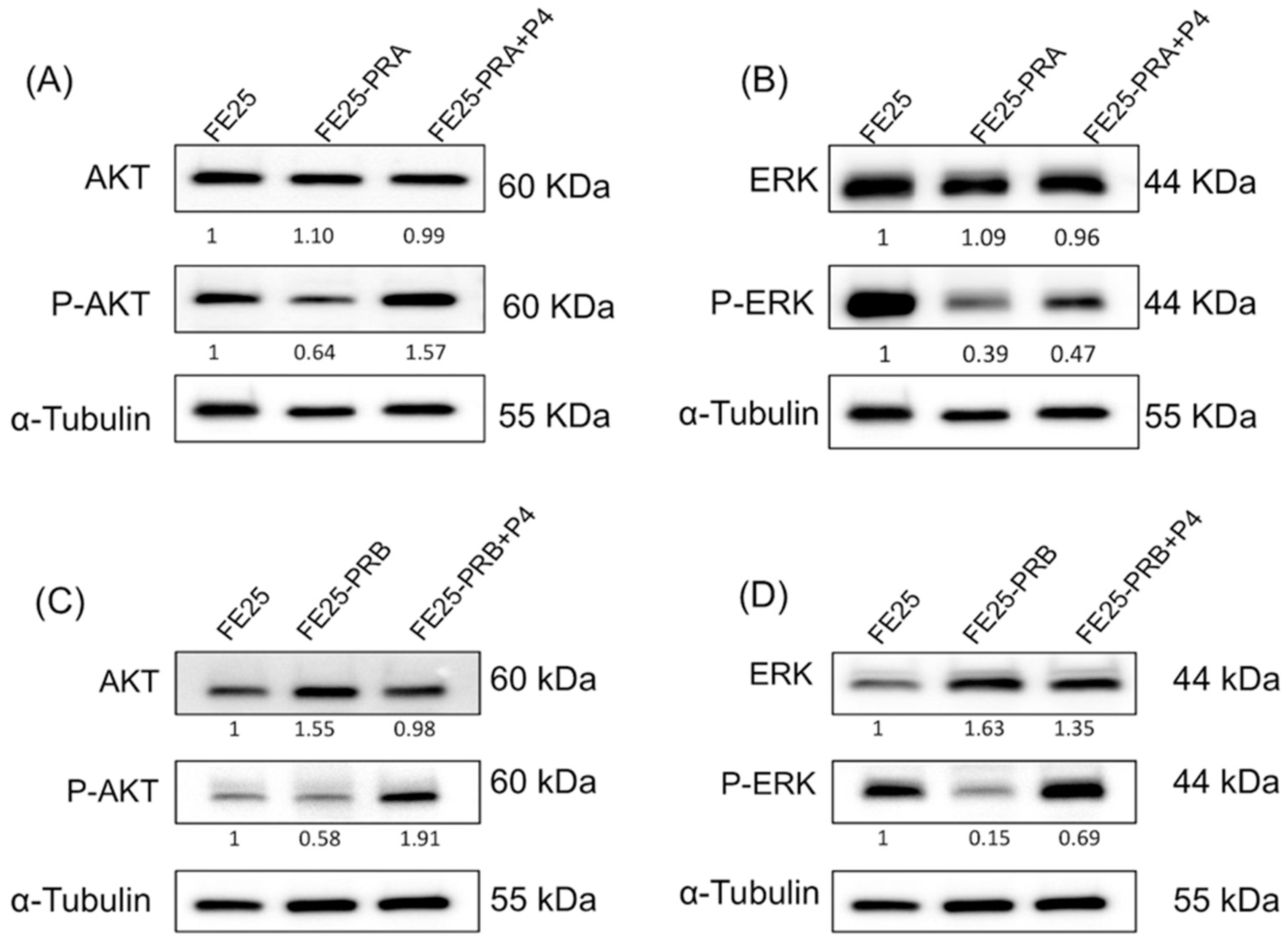 Ijms 24 11823 g008 Ijms 24 11823 g008