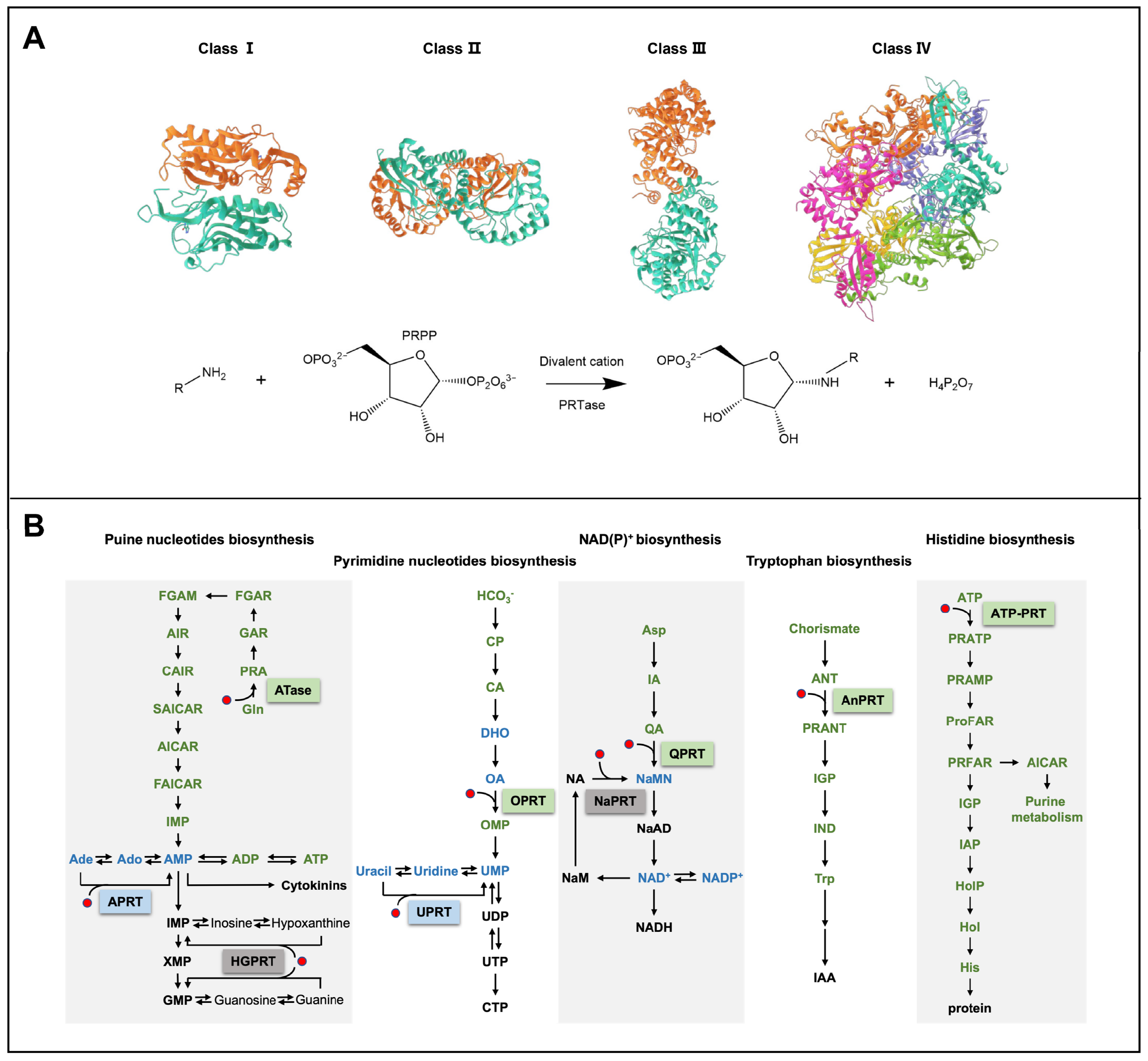 Ijms 24 11828 g001 Ijms 24 11828 g001
