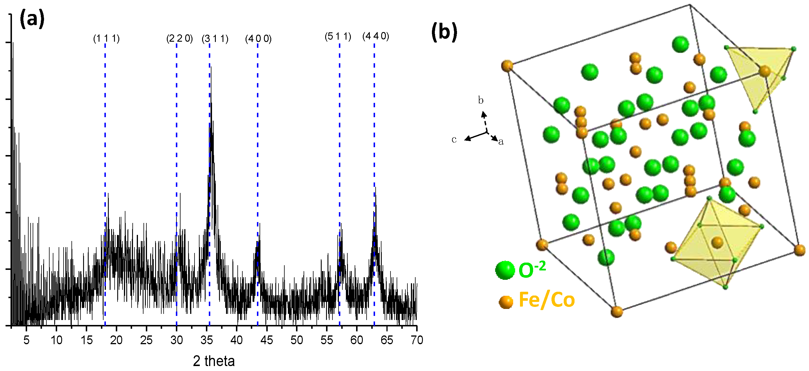 Ijms 24 11838 g001 Ijms 24 11838 g001