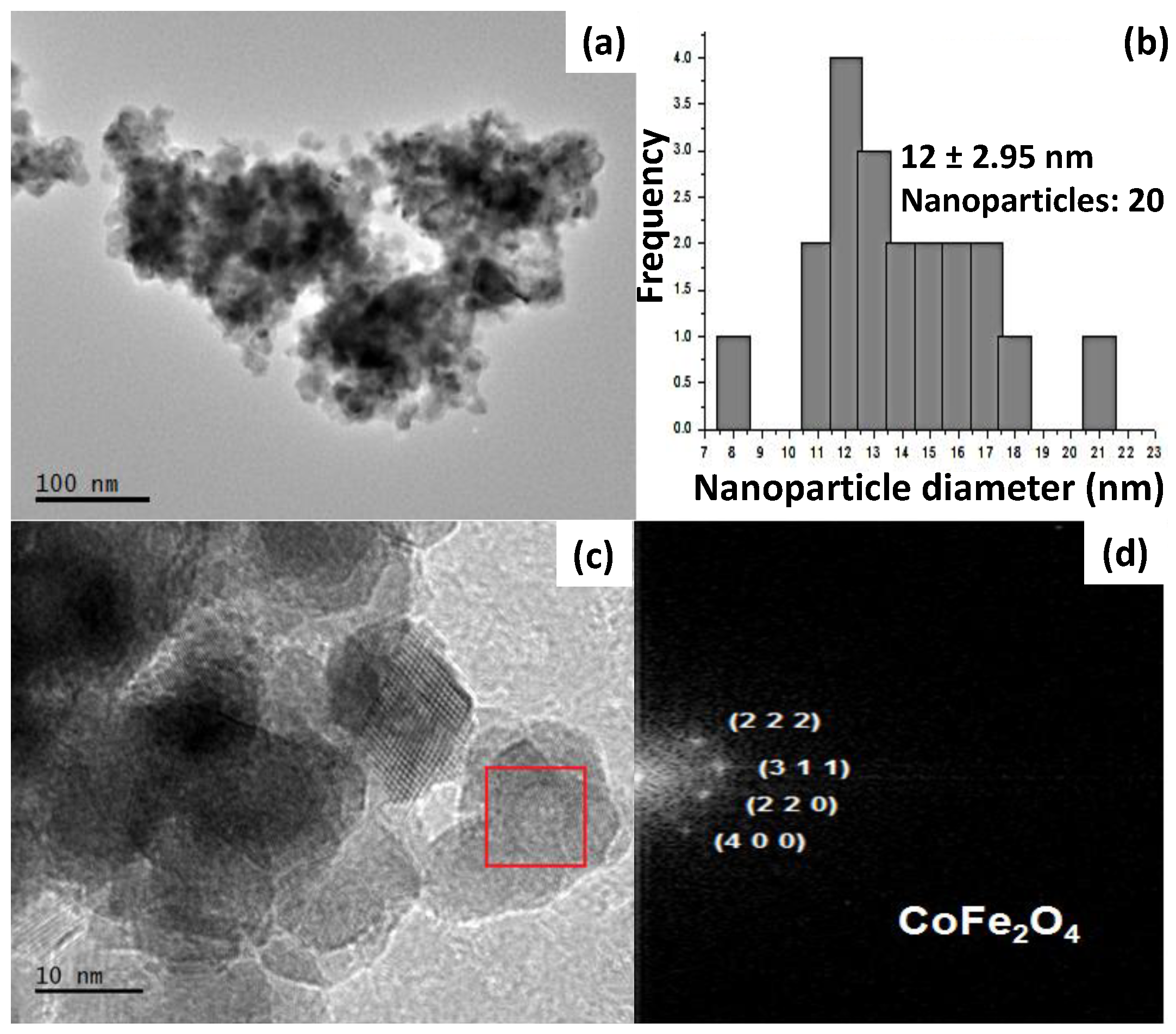 Ijms 24 11838 g003 Ijms 24 11838 g003