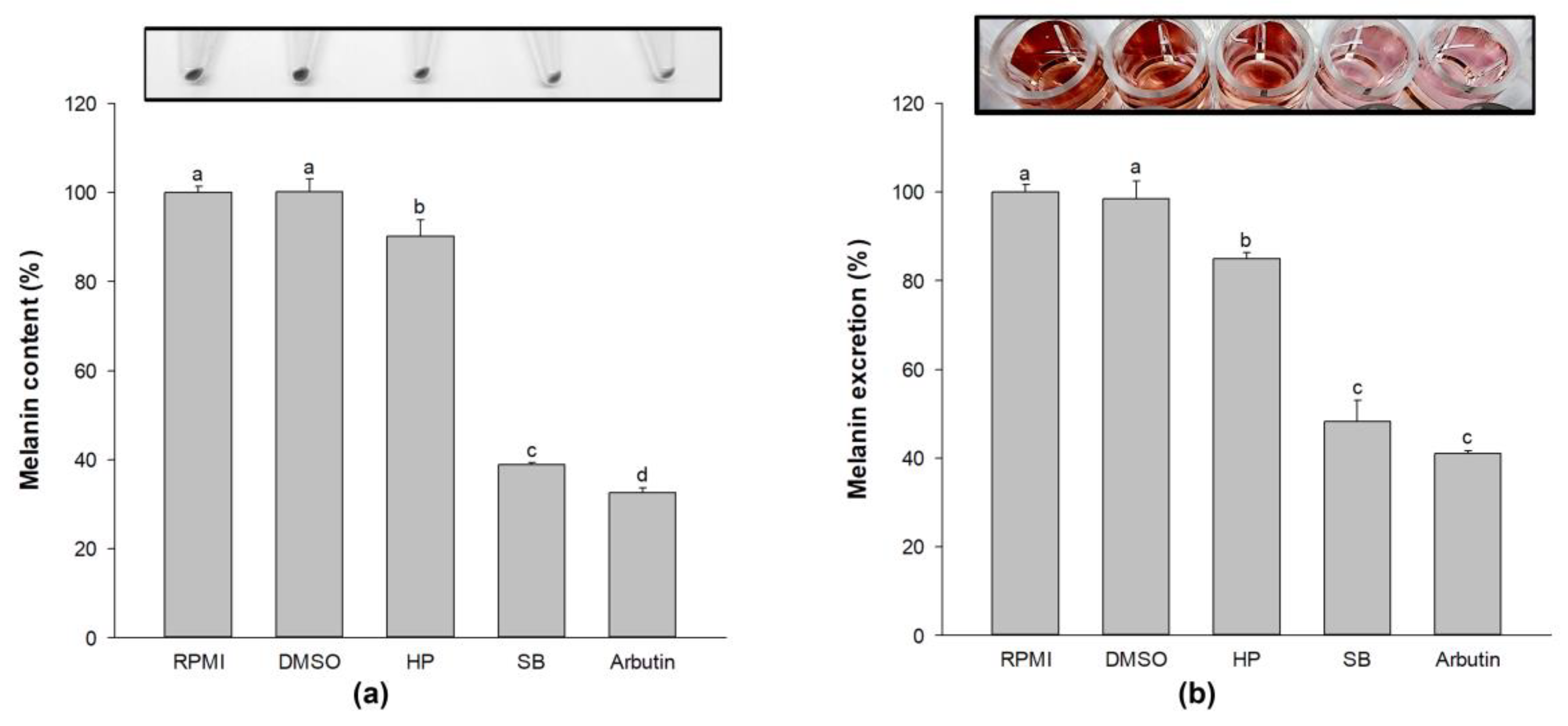 Ijms 24 11841 g003 Ijms 24 11841 g003
