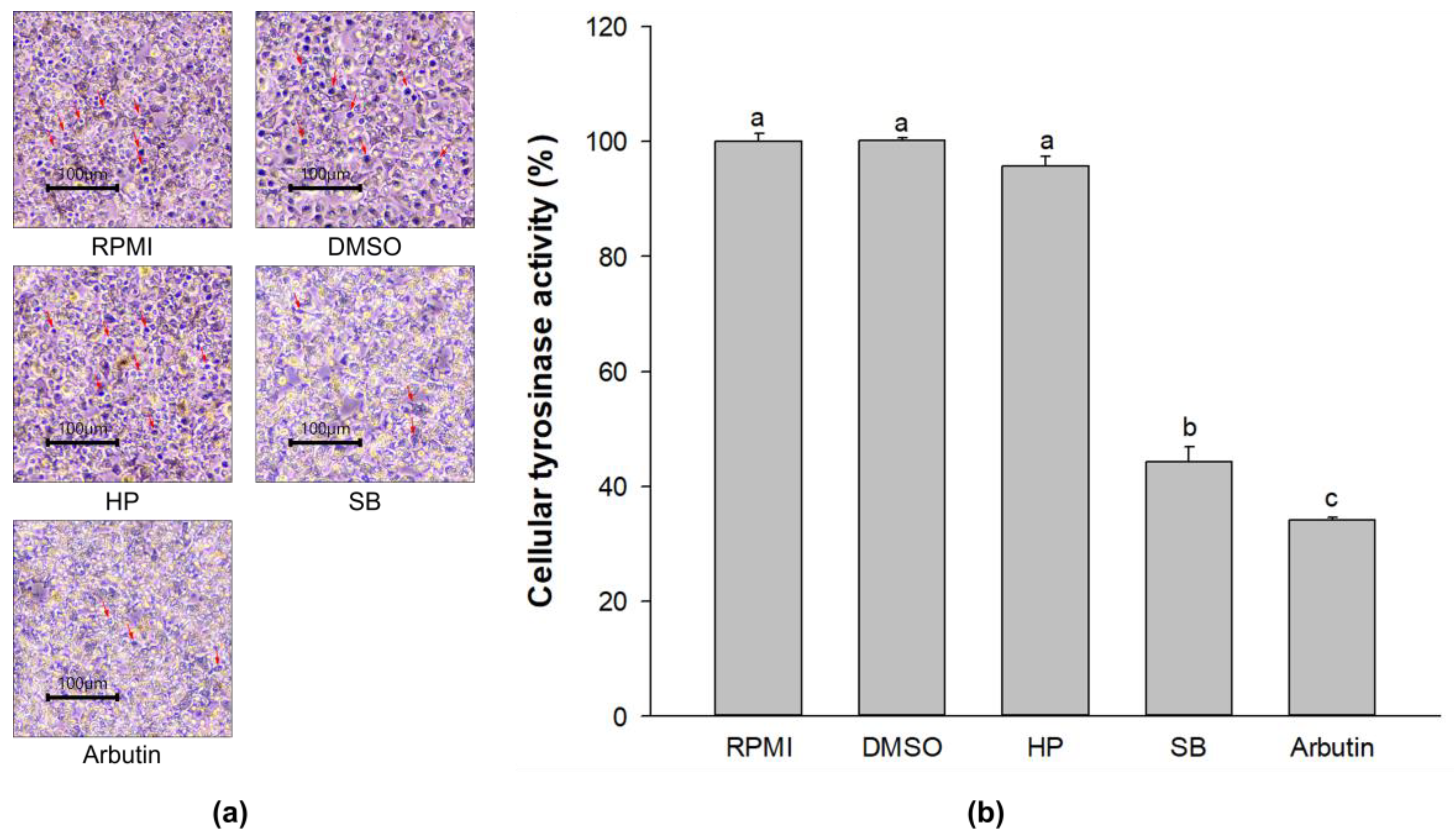 Ijms 24 11841 g004 Ijms 24 11841 g004