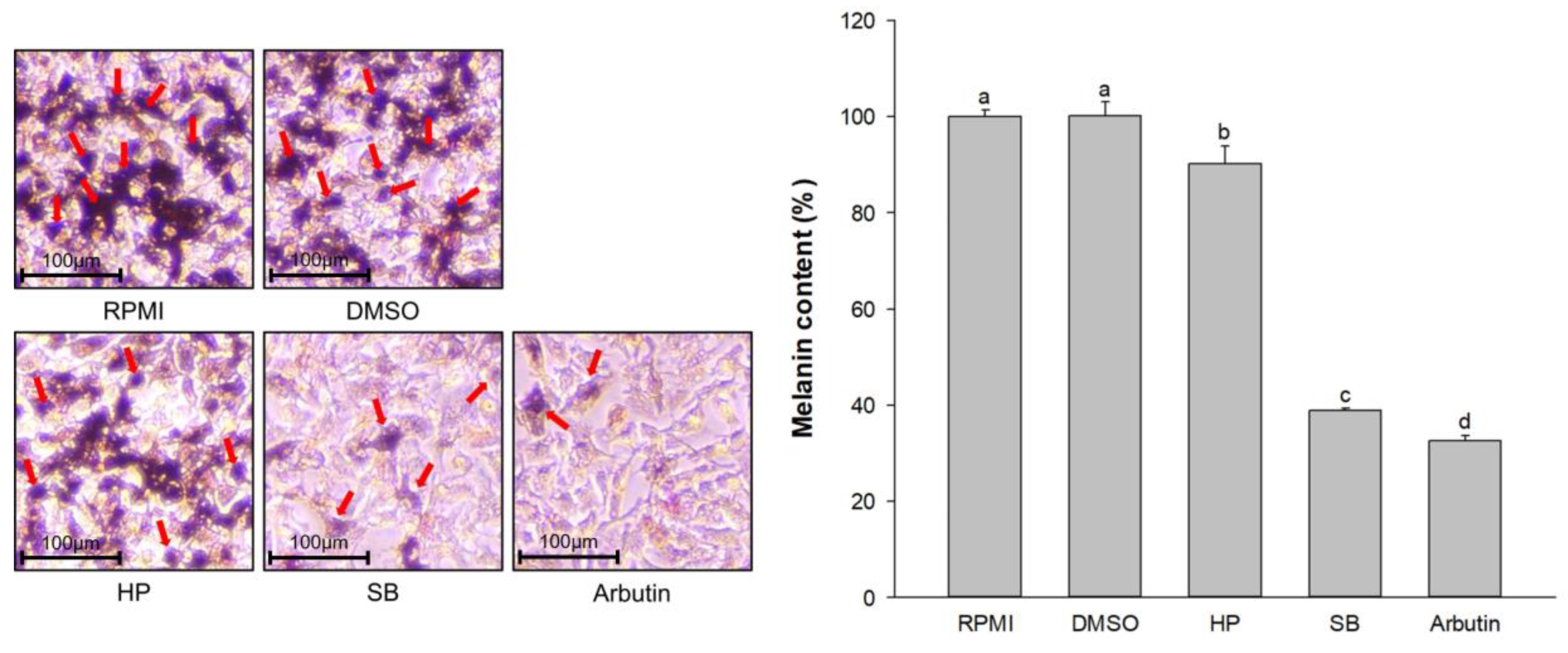Ijms 24 11841 g005 Ijms 24 11841 g005