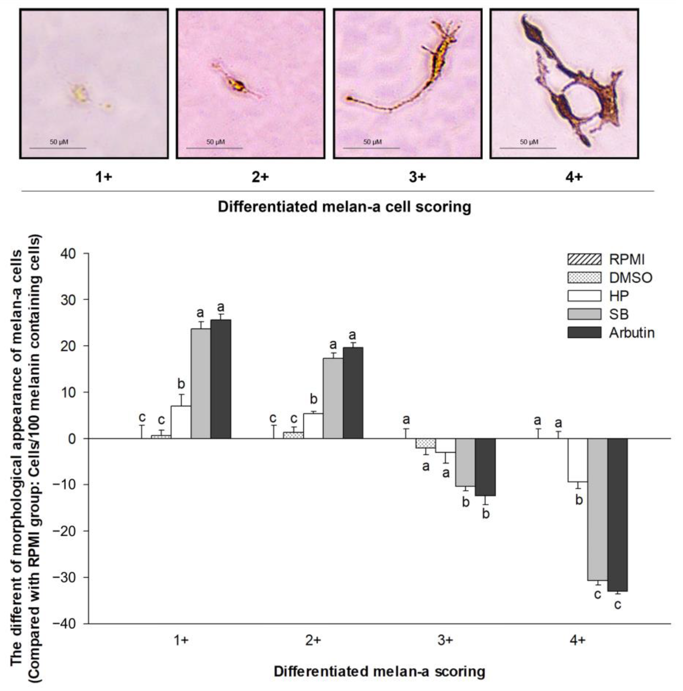 Ijms 24 11841 g006 Ijms 24 11841 g006
