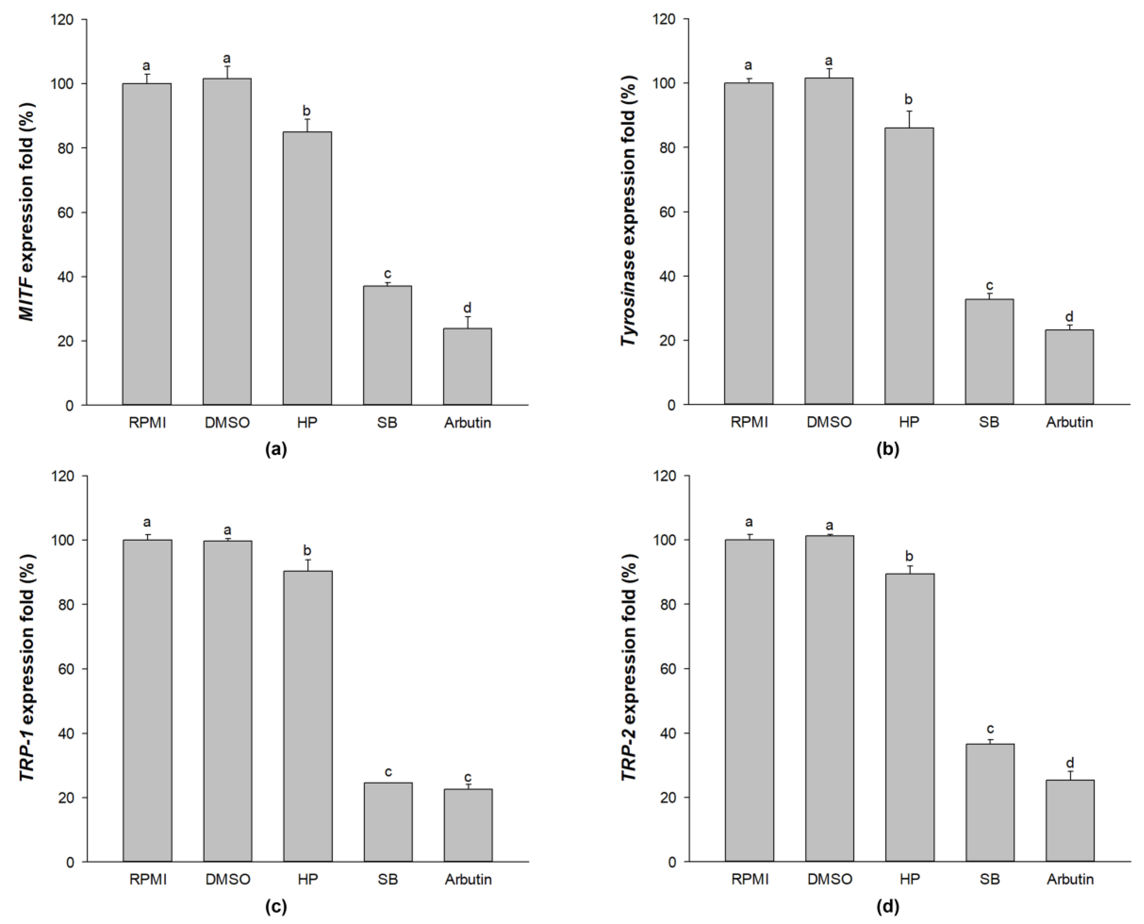 Ijms 24 11841 g007 Ijms 24 11841 g007