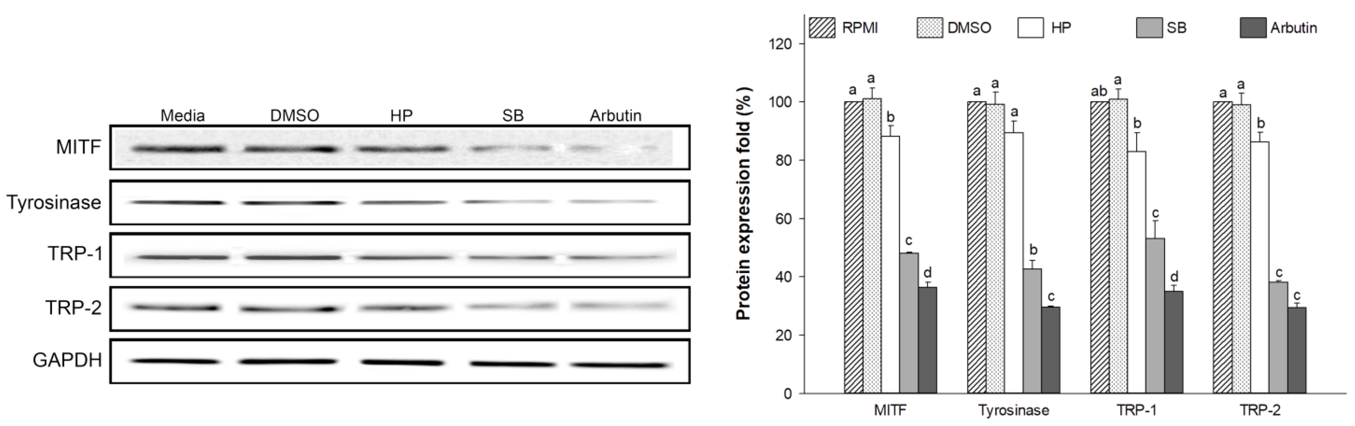 Ijms 24 11841 g008 Ijms 24 11841 g008