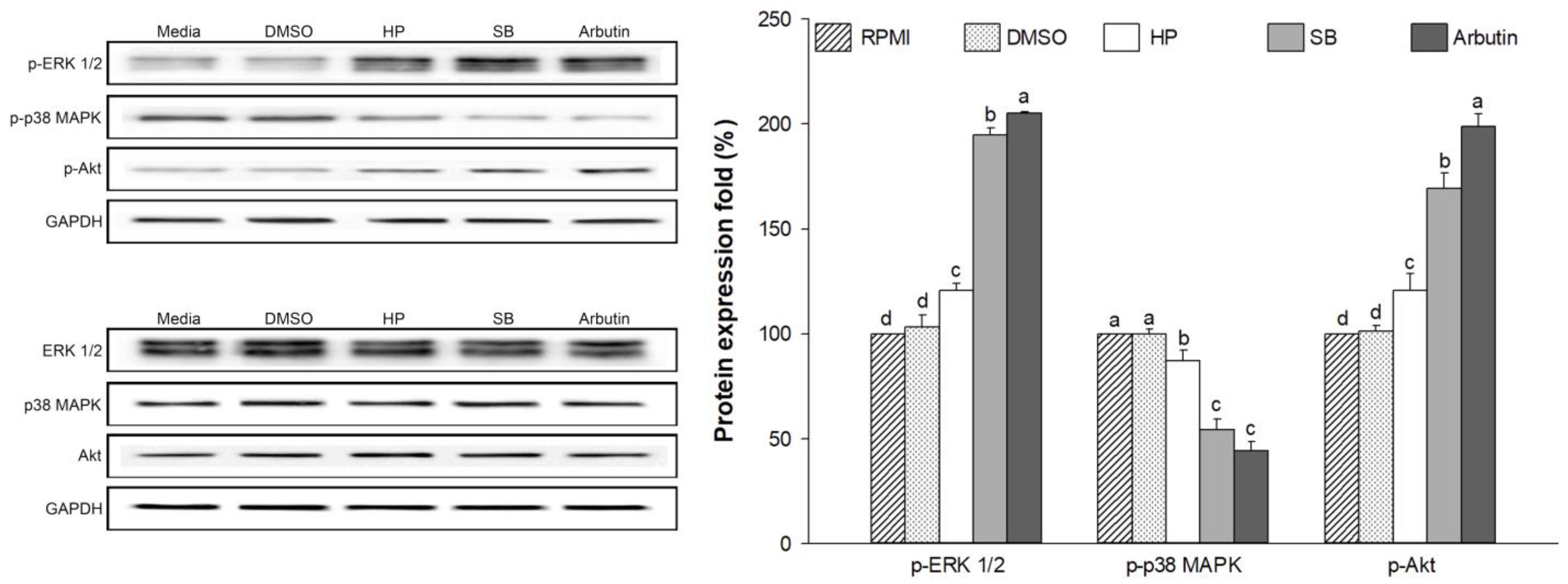 Ijms 24 11841 g009 Ijms 24 11841 g009