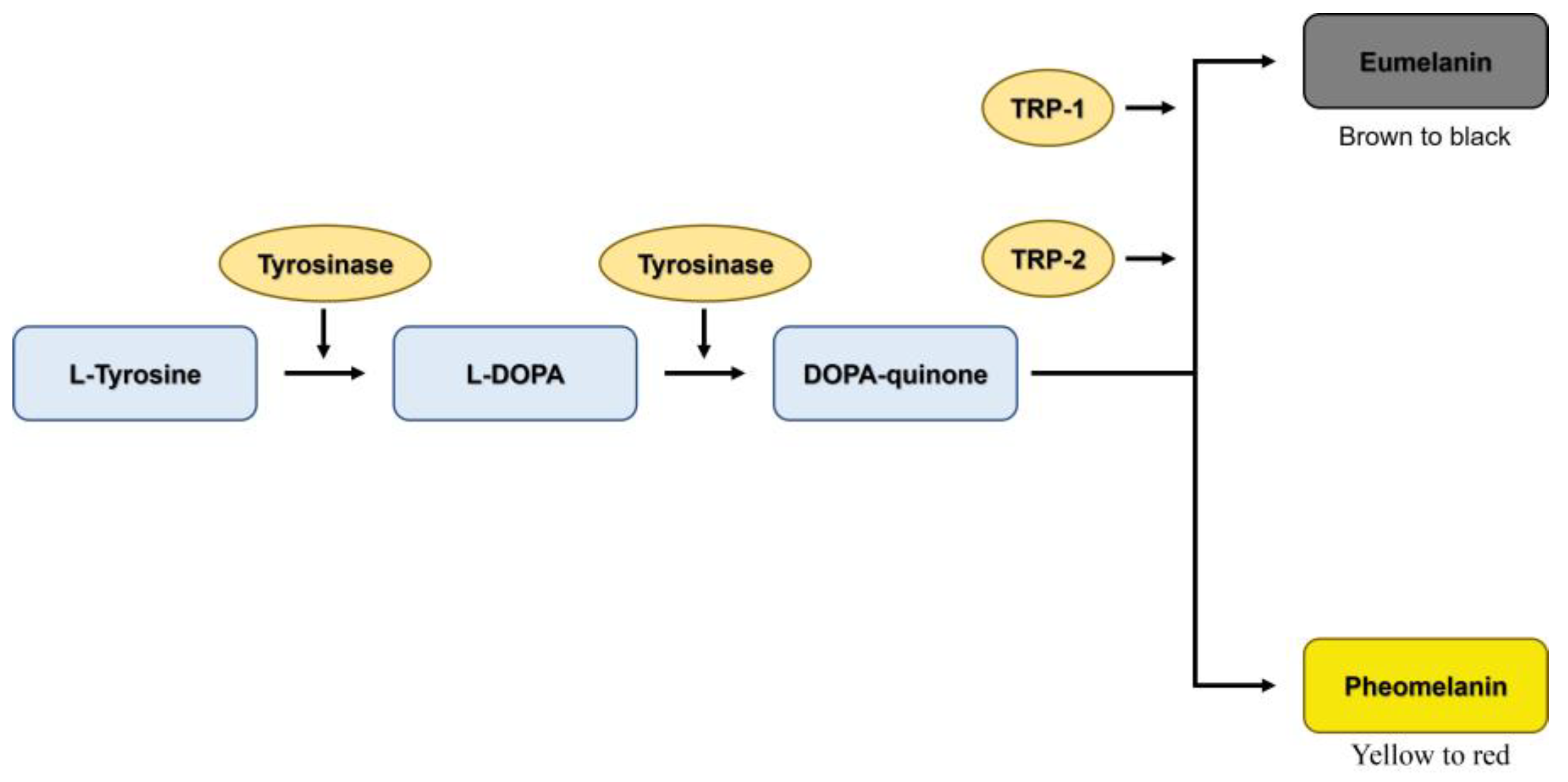 Ijms 24 11841 g010 Ijms 24 11841 g010