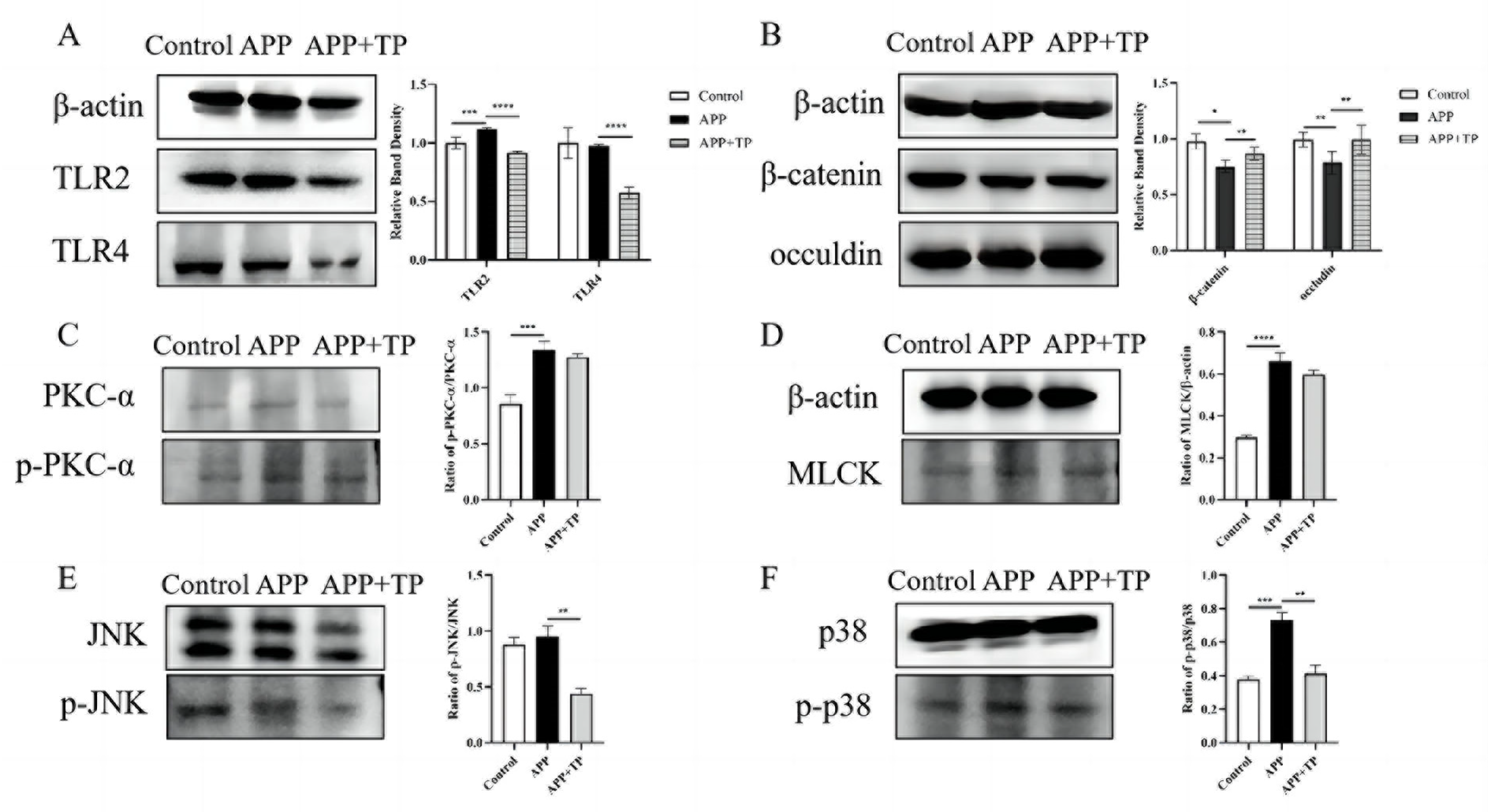 Ijms 24 11842 g004 Ijms 24 11842 g004