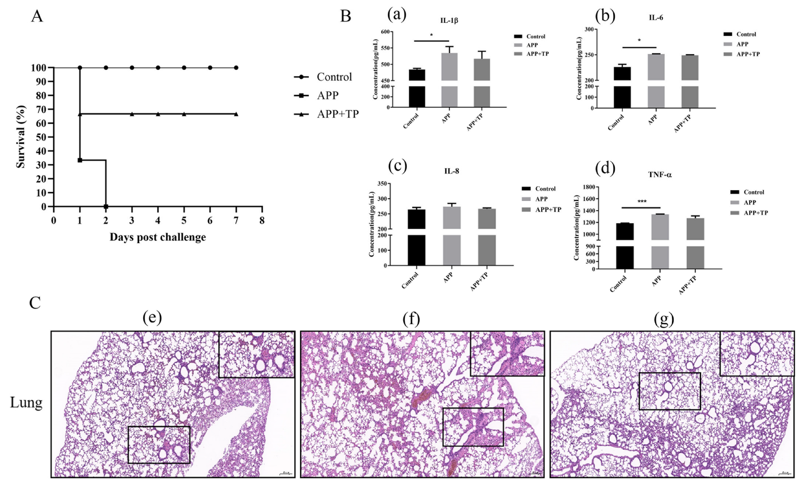 Ijms 24 11842 g005 Ijms 24 11842 g005