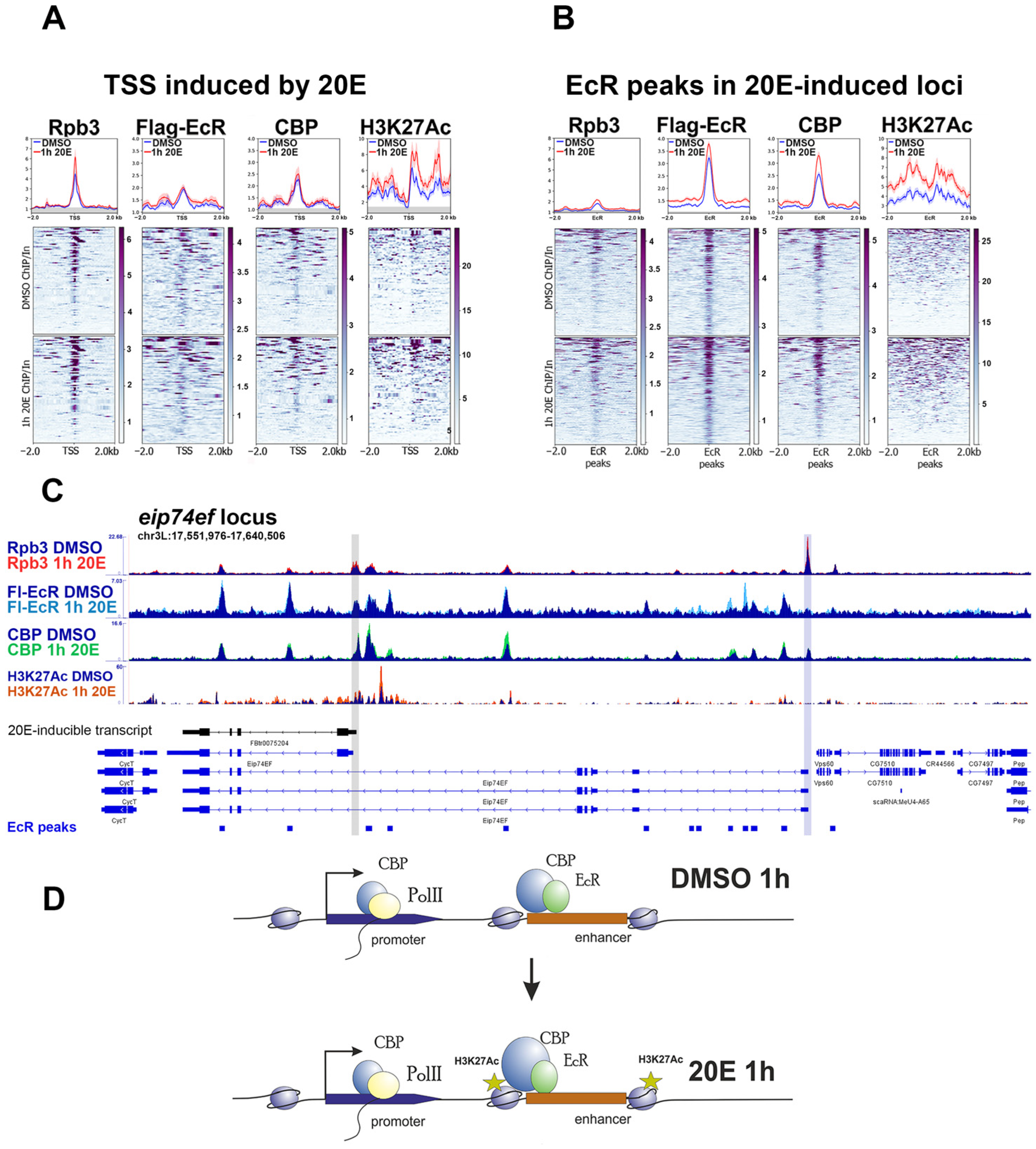 Ijms 24 11844 g001 Ijms 24 11844 g001