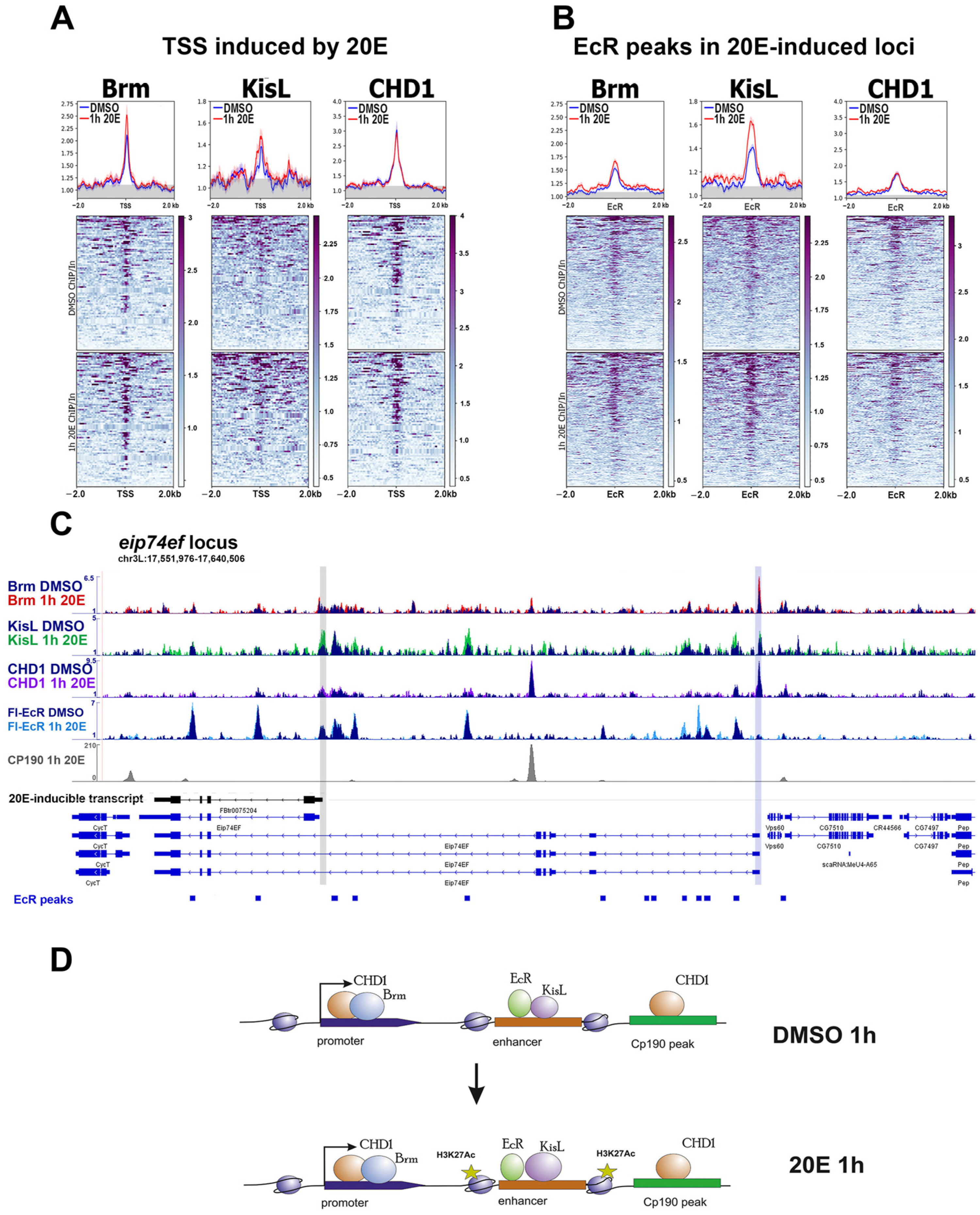 Ijms 24 11844 g002 Ijms 24 11844 g002