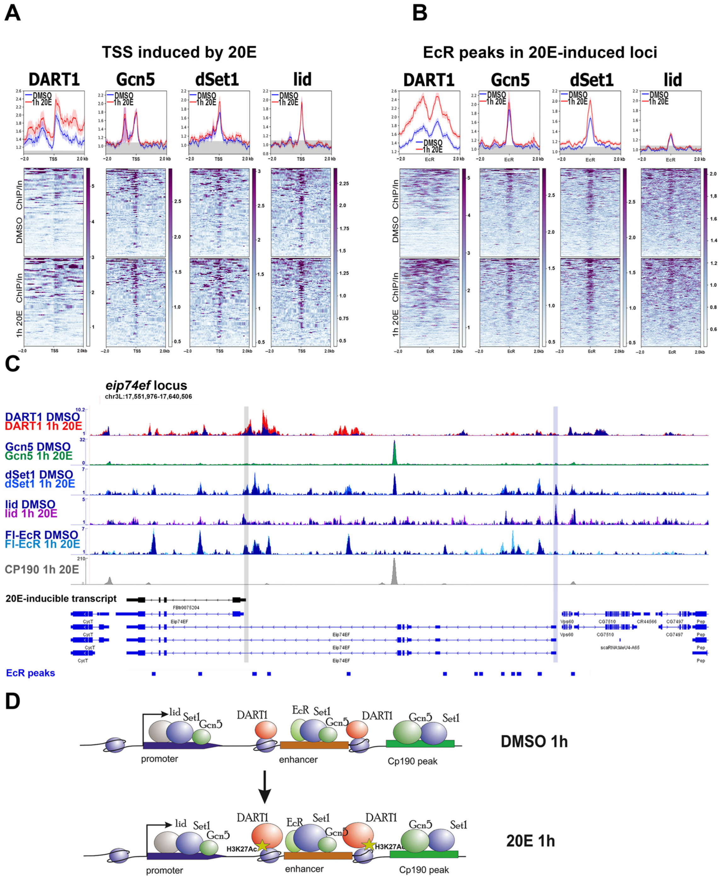 Ijms 24 11844 g003 Ijms 24 11844 g003