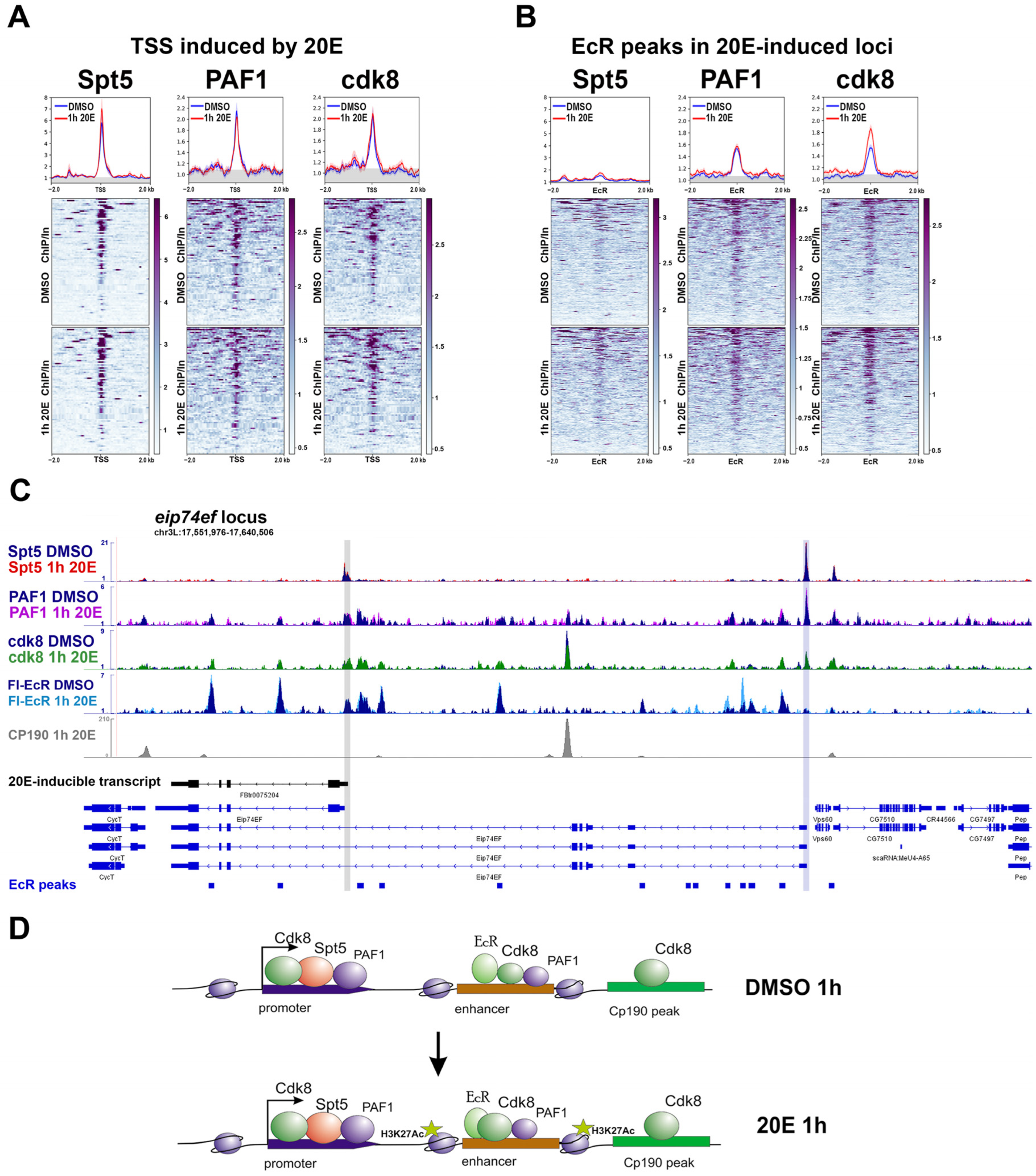 Ijms 24 11844 g004 Ijms 24 11844 g004