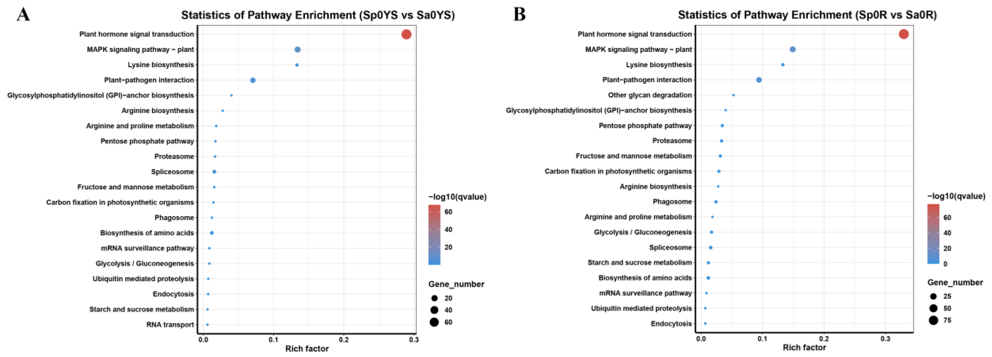 Ijms 24 11845 g003 Ijms 24 11845 g003
