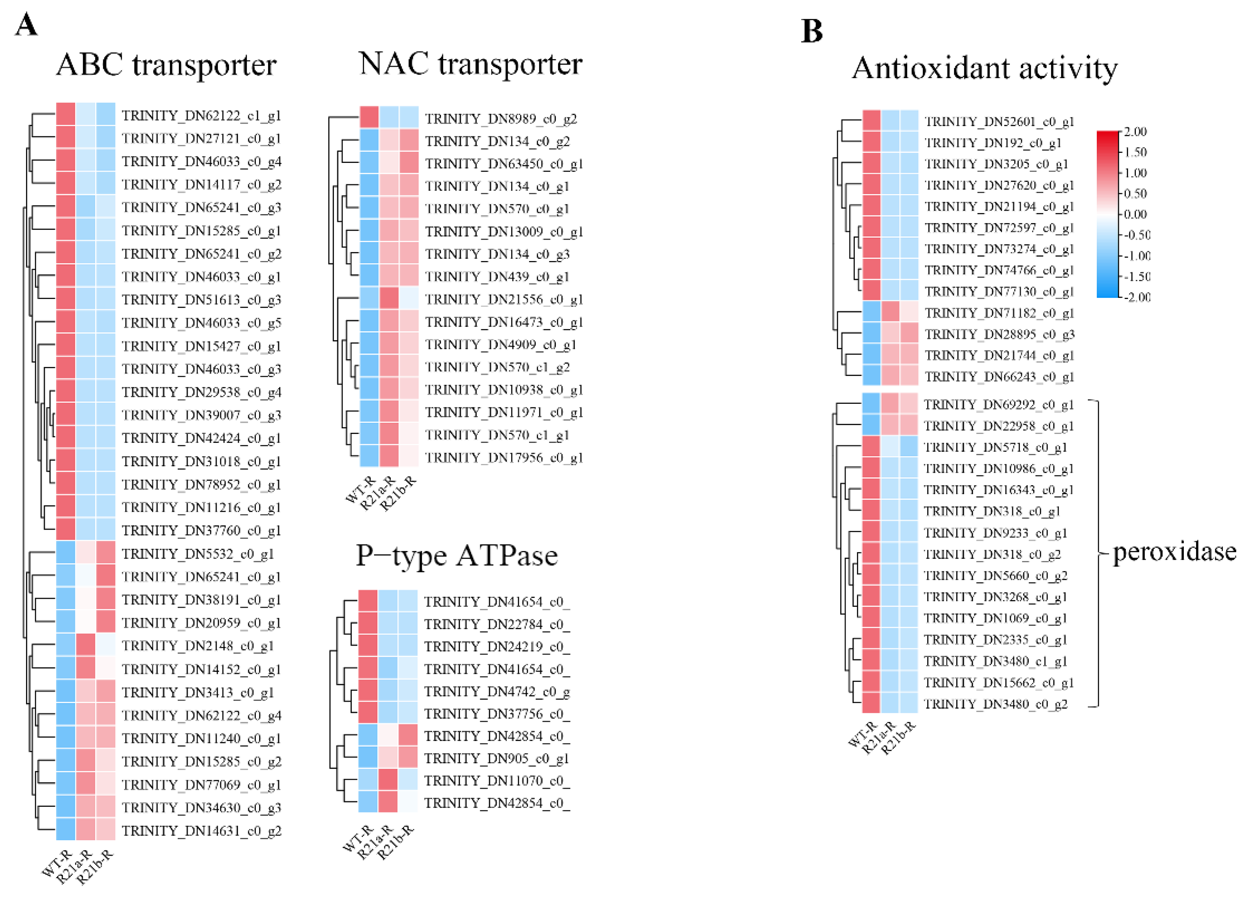 Ijms 24 11845 g0a2 Ijms 24 11845 g0a2