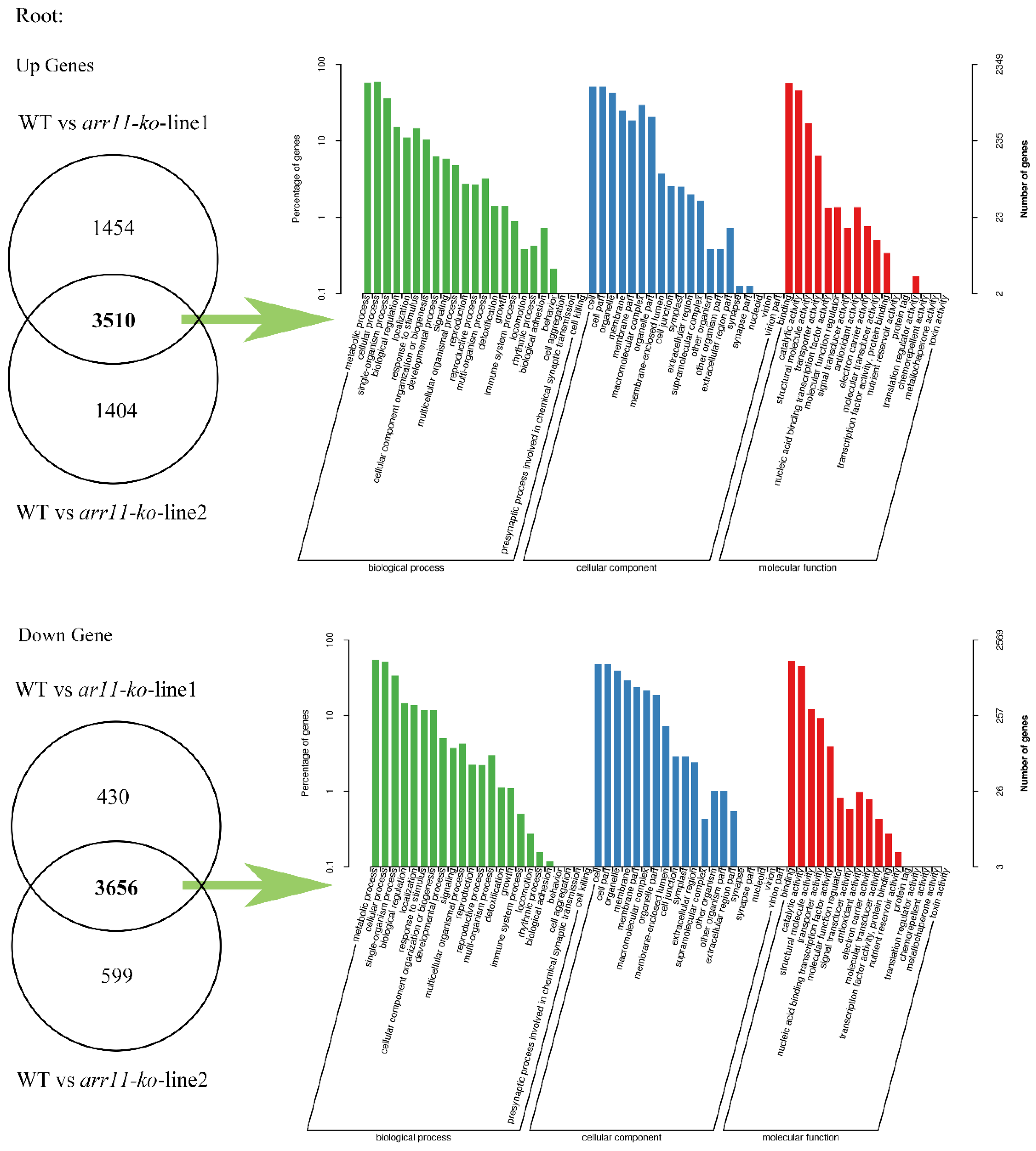 Ijms 24 11845 g0a3 Ijms 24 11845 g0a3