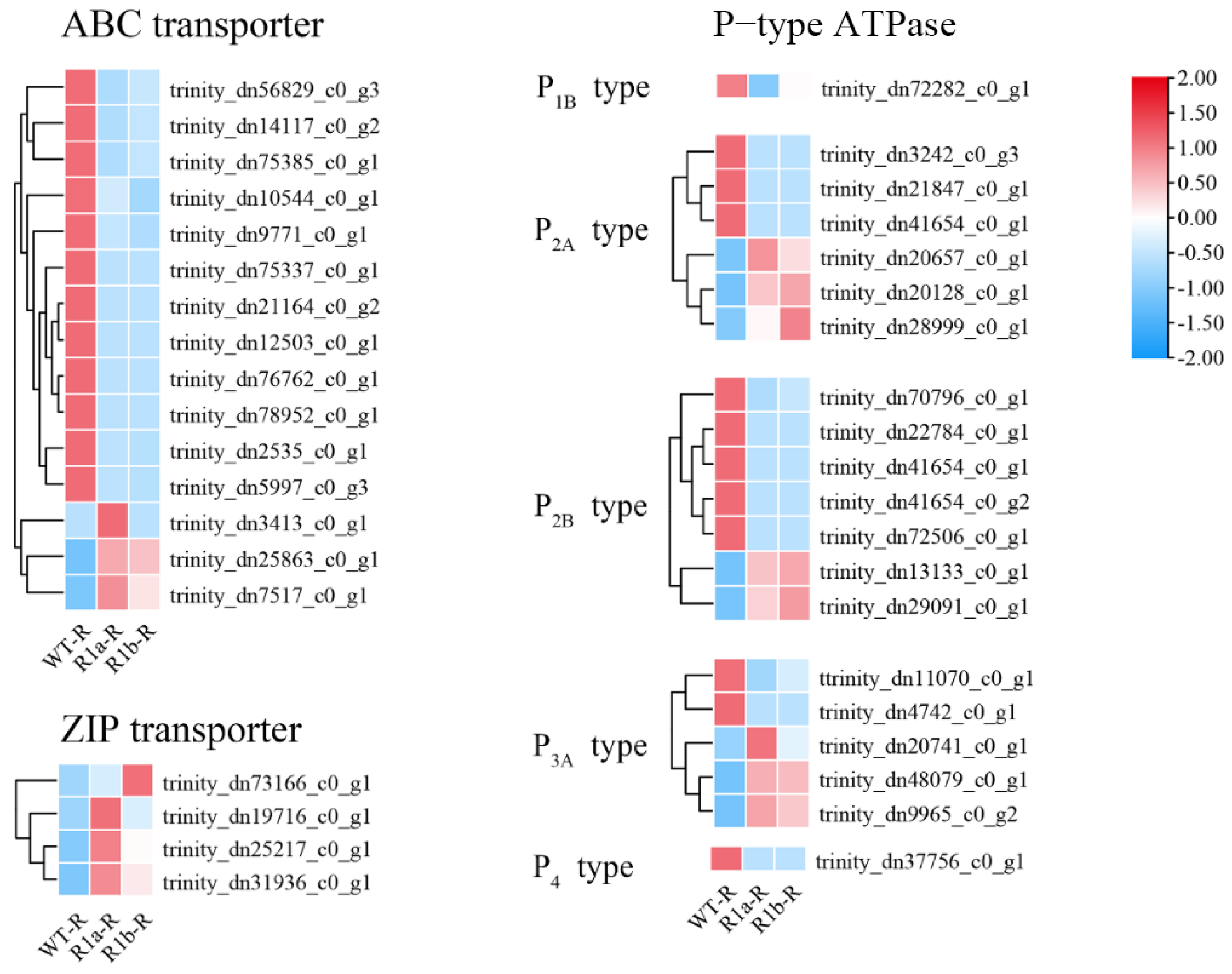 Ijms 24 11845 g0a4 Ijms 24 11845 g0a4