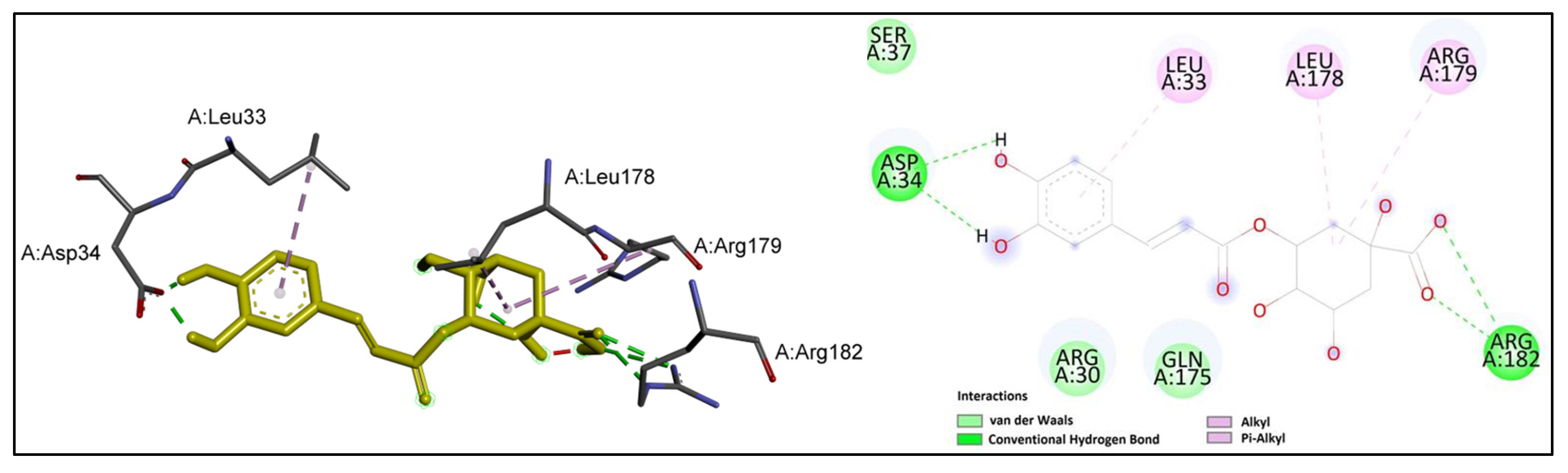 Ijms 24 11848 g006 Ijms 24 11848 g006