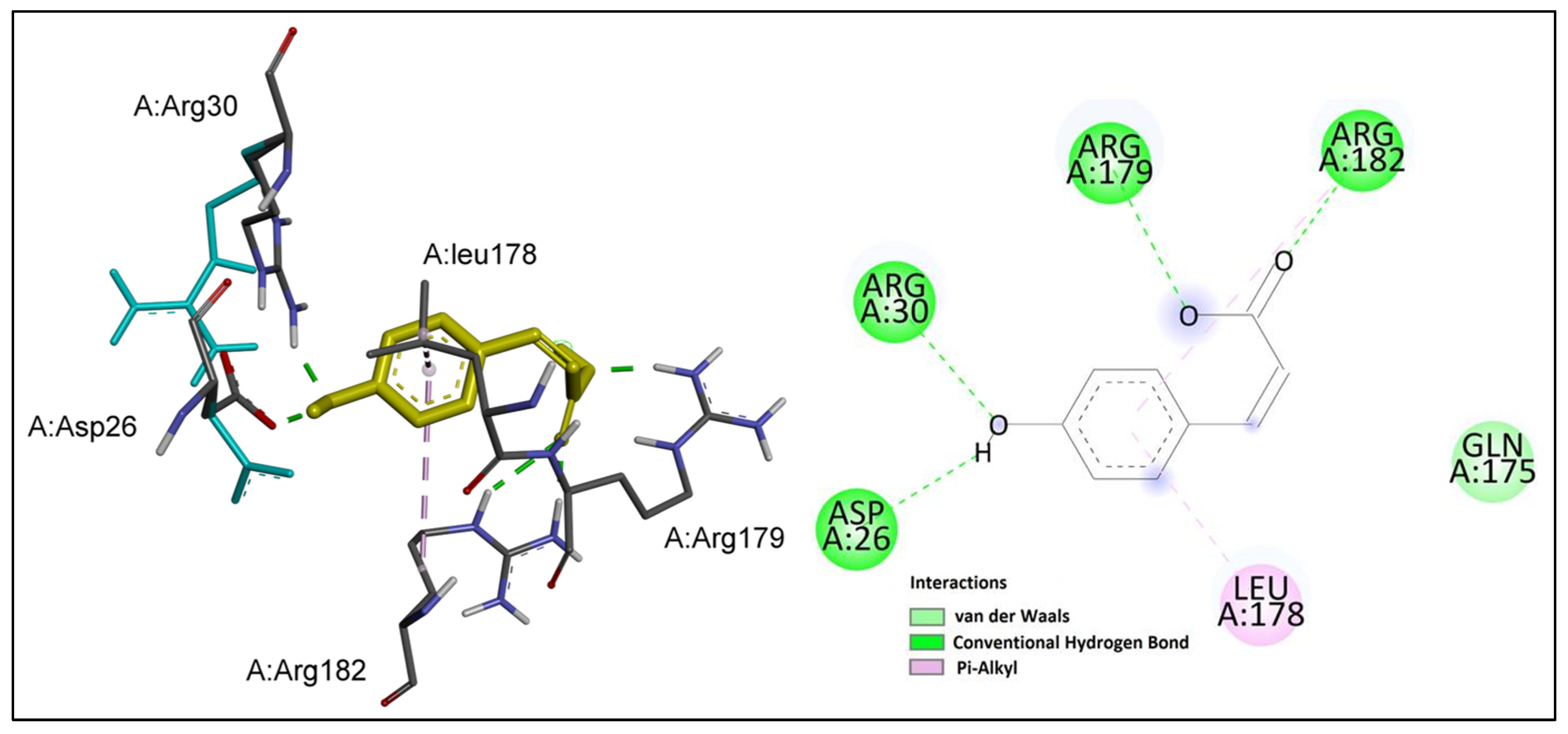 Ijms 24 11848 g007 Ijms 24 11848 g007