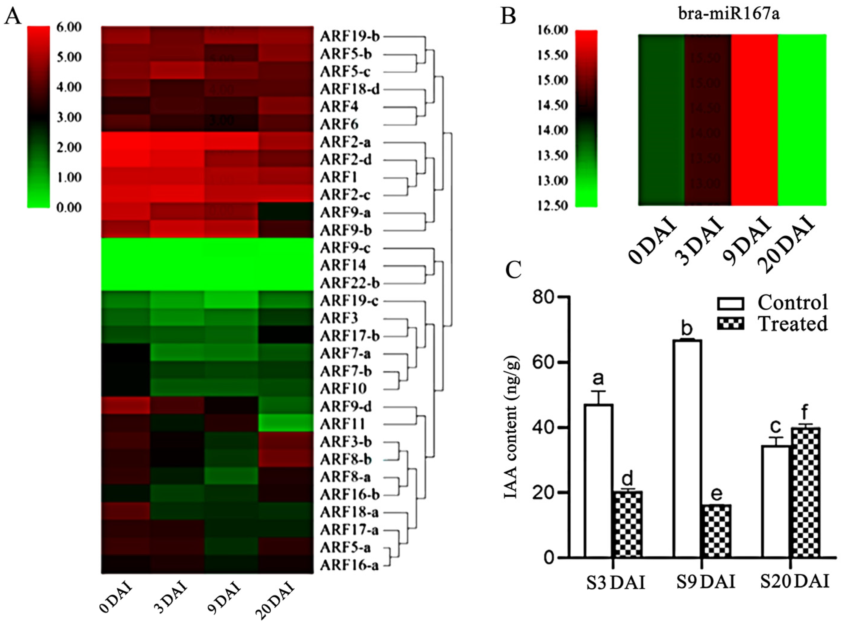 Ijms 24 11850 g002 Ijms 24 11850 g002