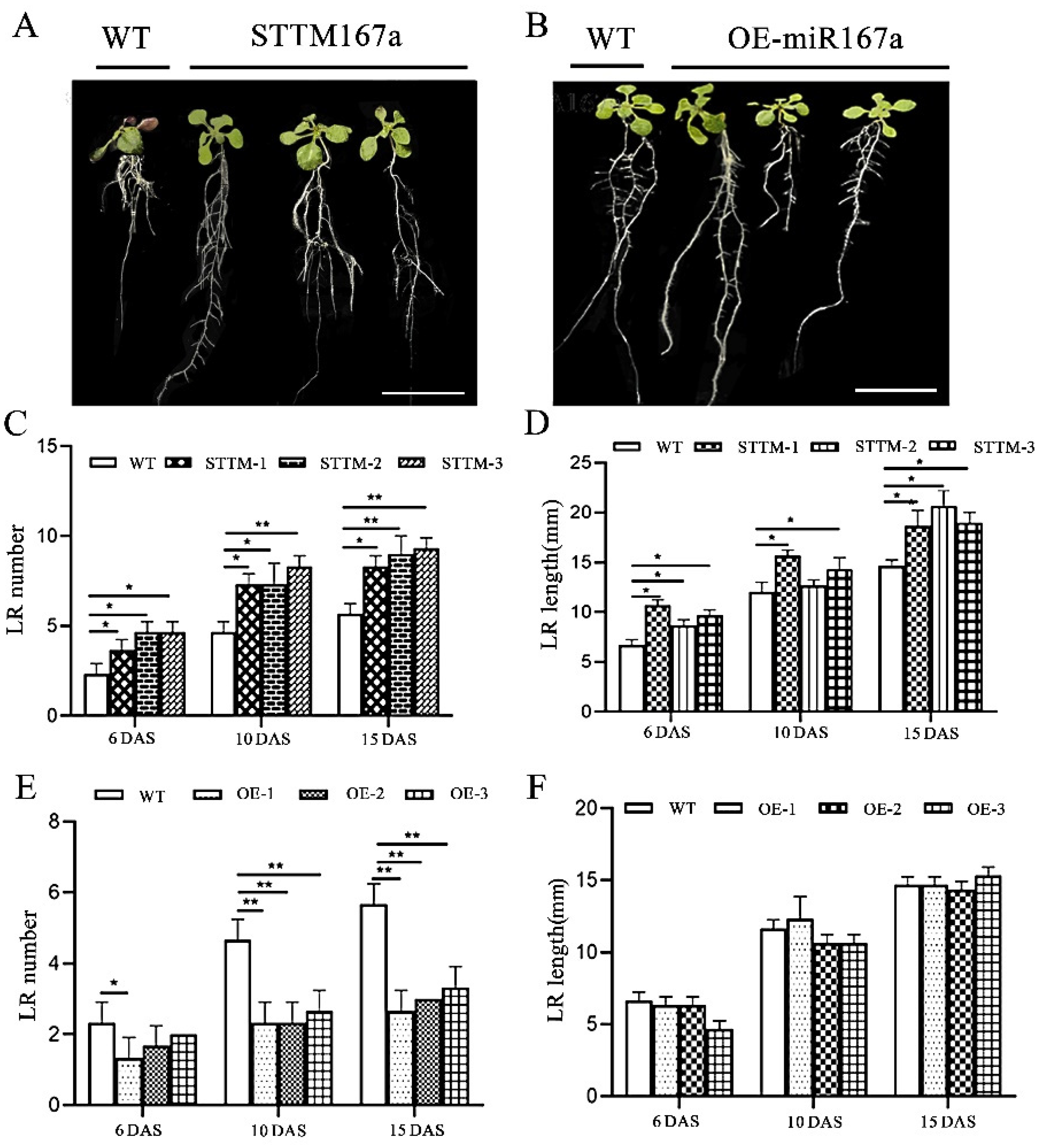 Ijms 24 11850 g005 Ijms 24 11850 g005