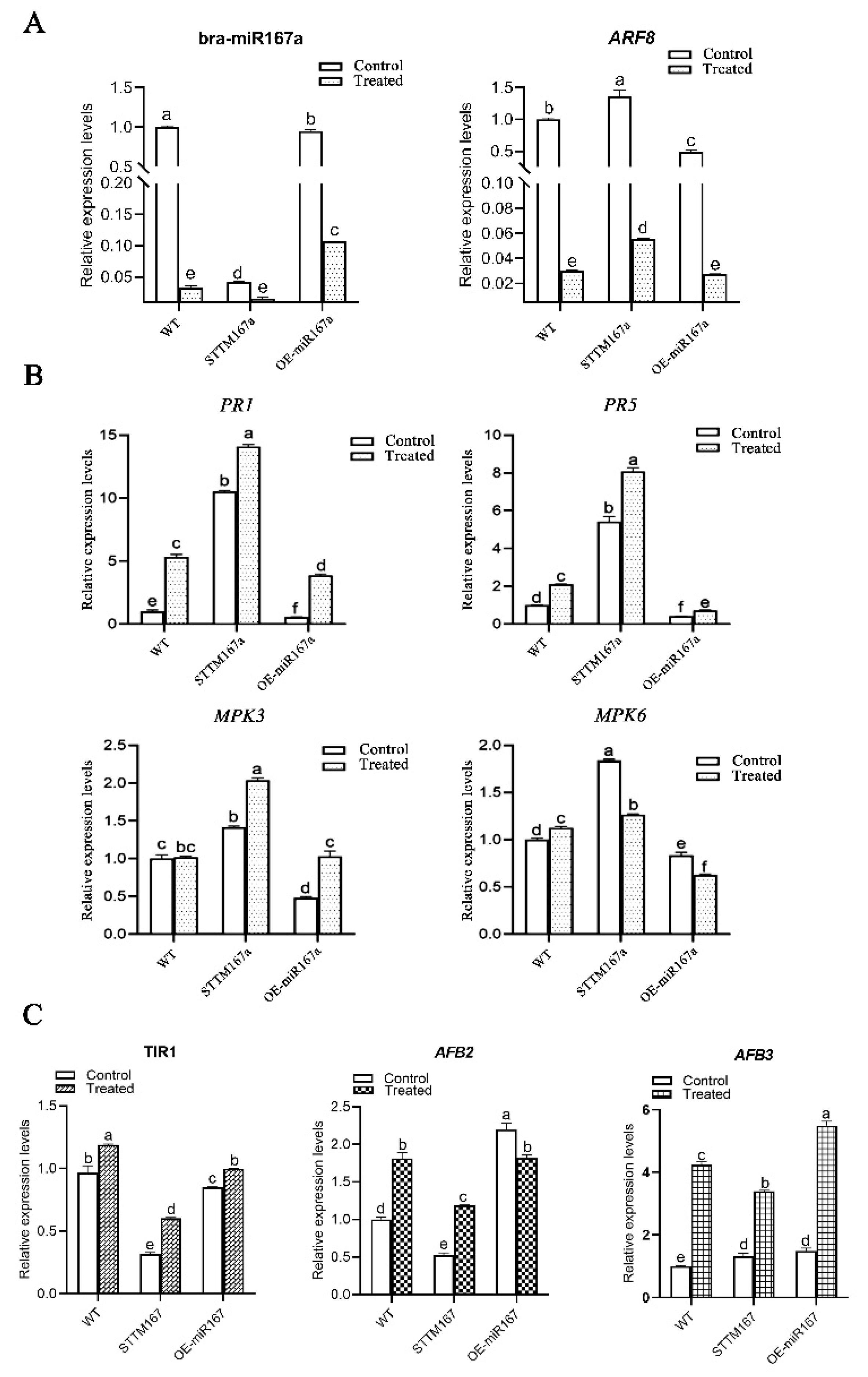 Ijms 24 11850 g007 Ijms 24 11850 g007