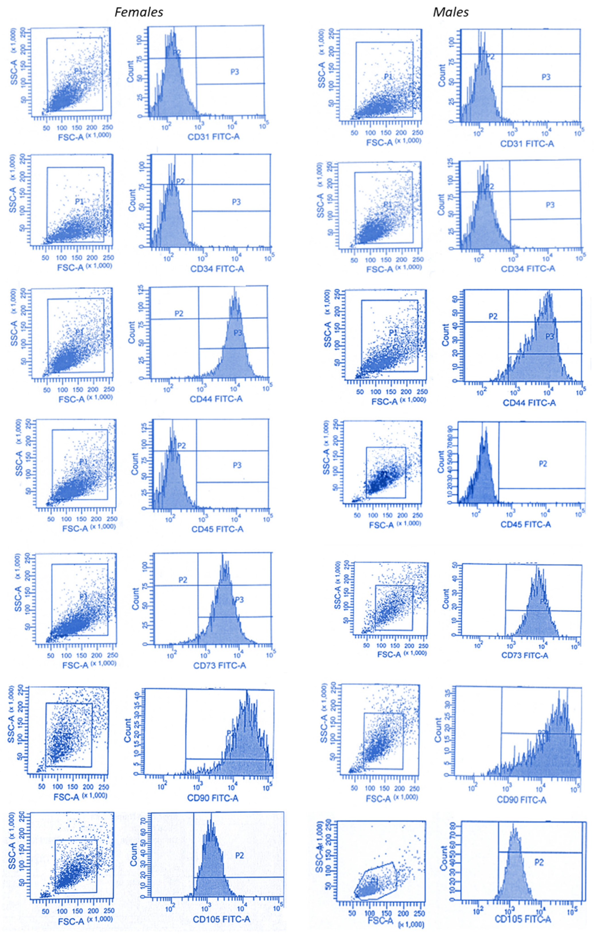 Ijms 24 11856 g003 Ijms 24 11856 g003