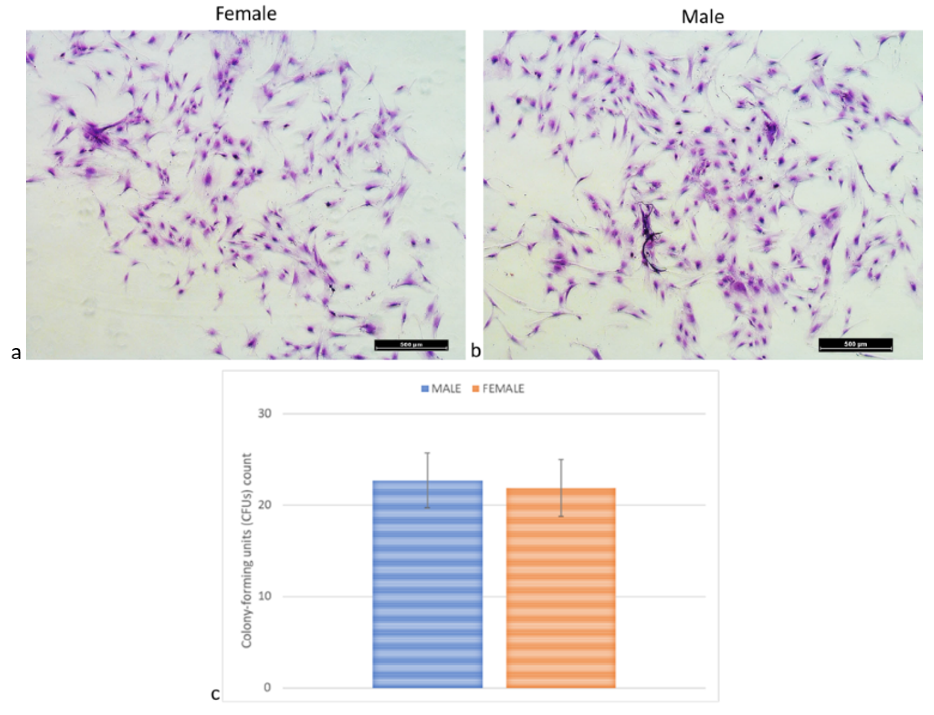 Ijms 24 11856 g005 Ijms 24 11856 g005