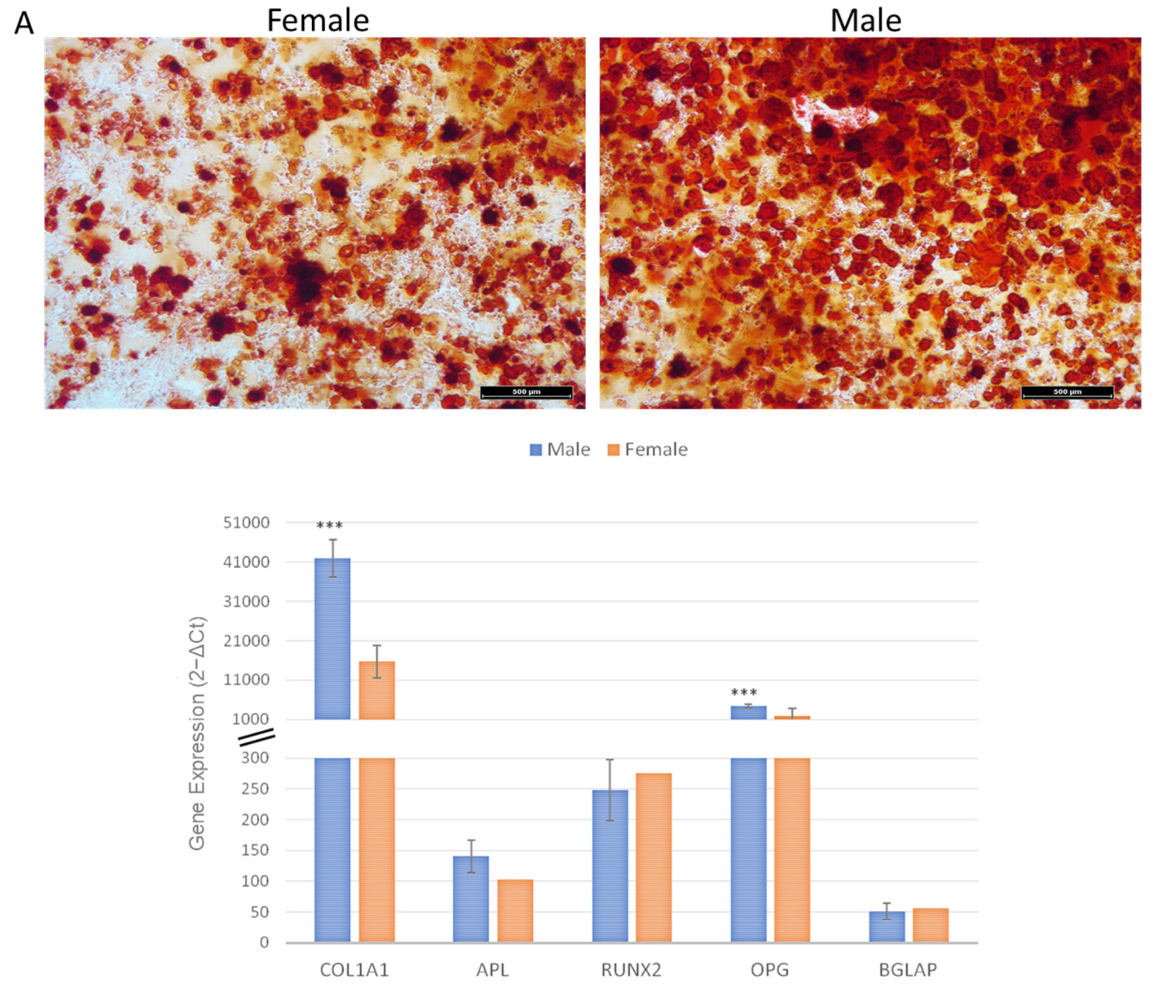 Ijms 24 11856 g006a Ijms 24 11856 g006a