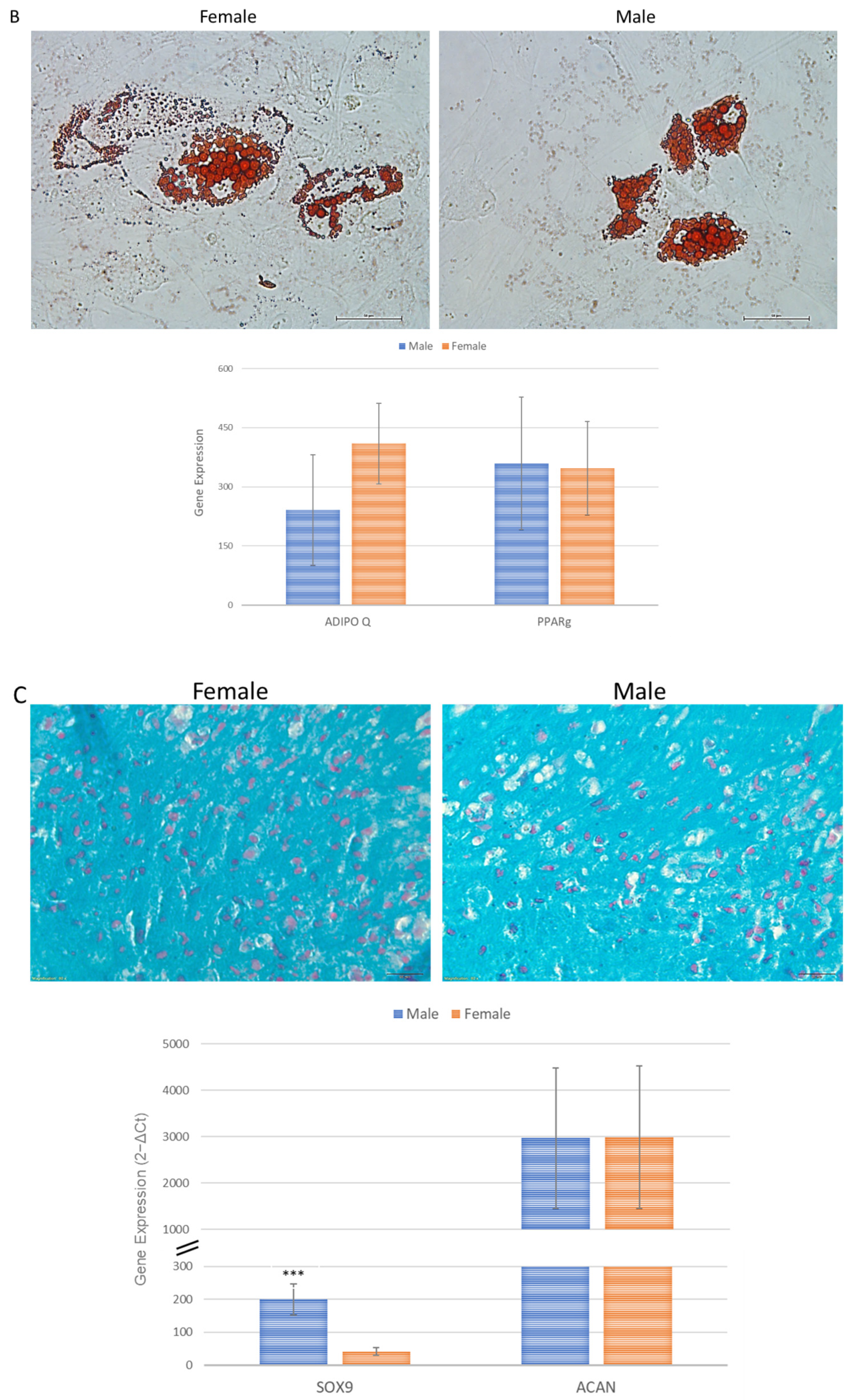 Ijms 24 11856 g006b Ijms 24 11856 g006b