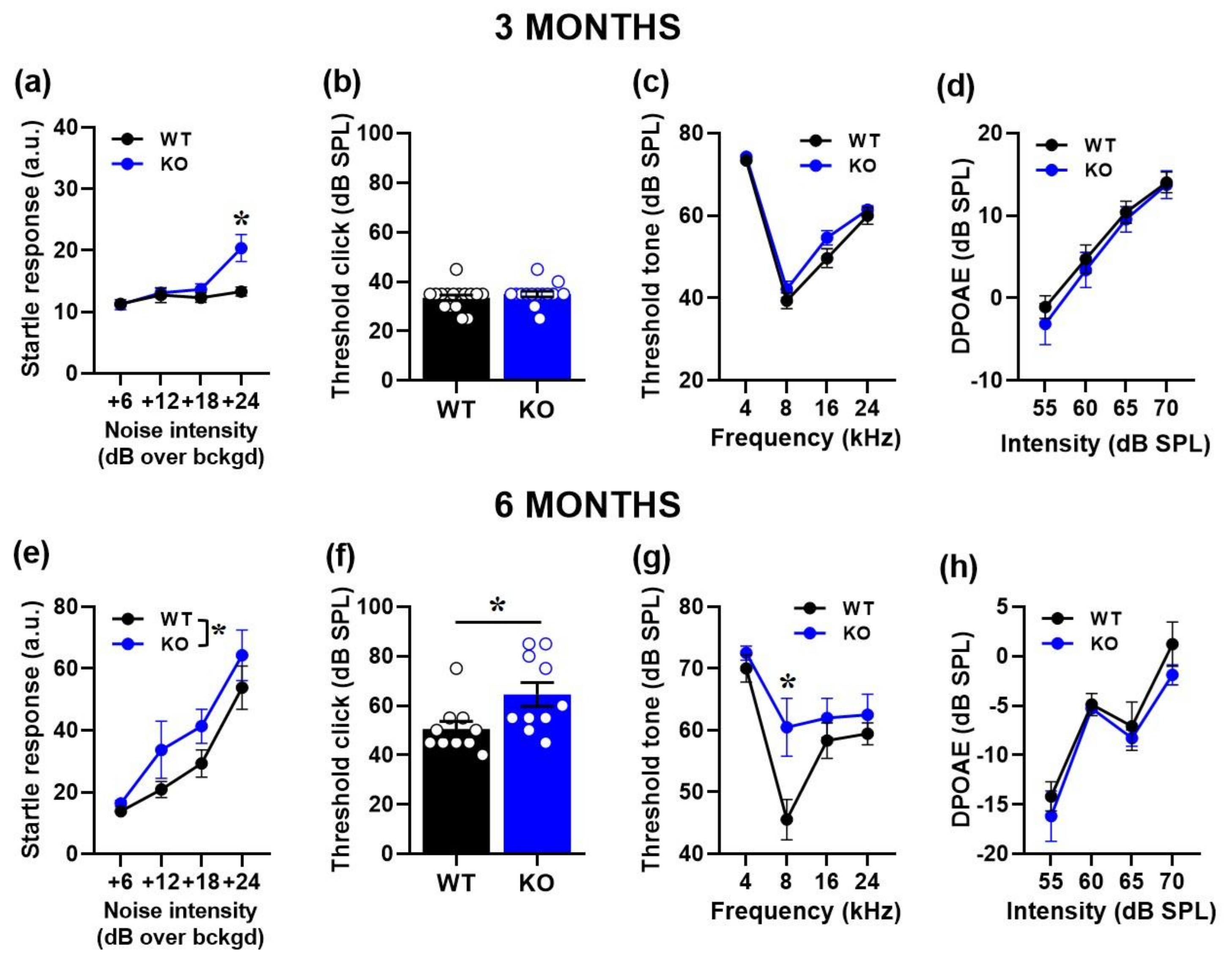 Ijms 24 11863 g001 Ijms 24 11863 g001