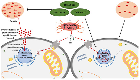 Synthetic peptides that form nanostructured micelles have potent antibiotic  and antibiofilm activity against polymicrobial infections